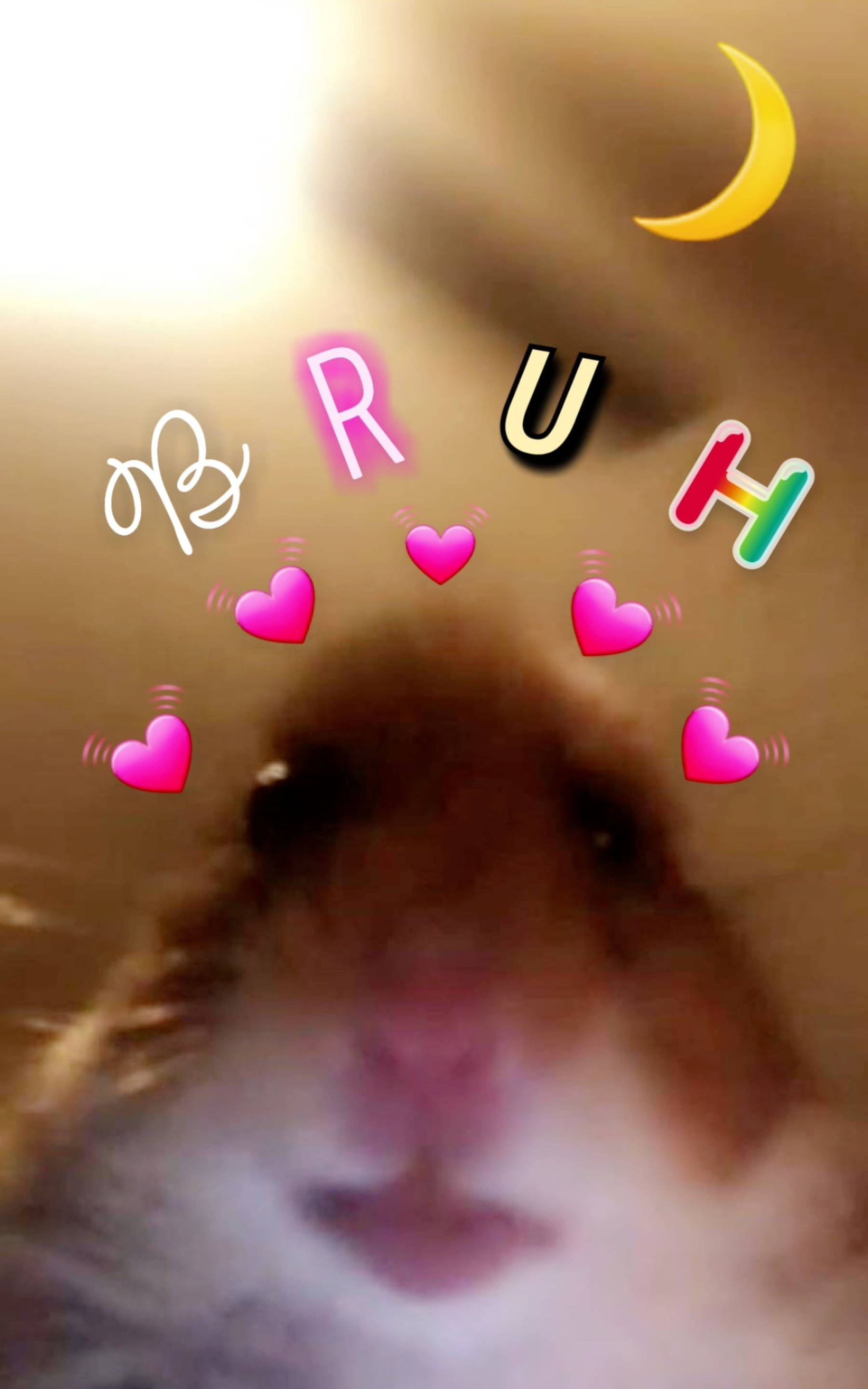 hamster, hearts, crescent moon, 2K Phone Wallpaper