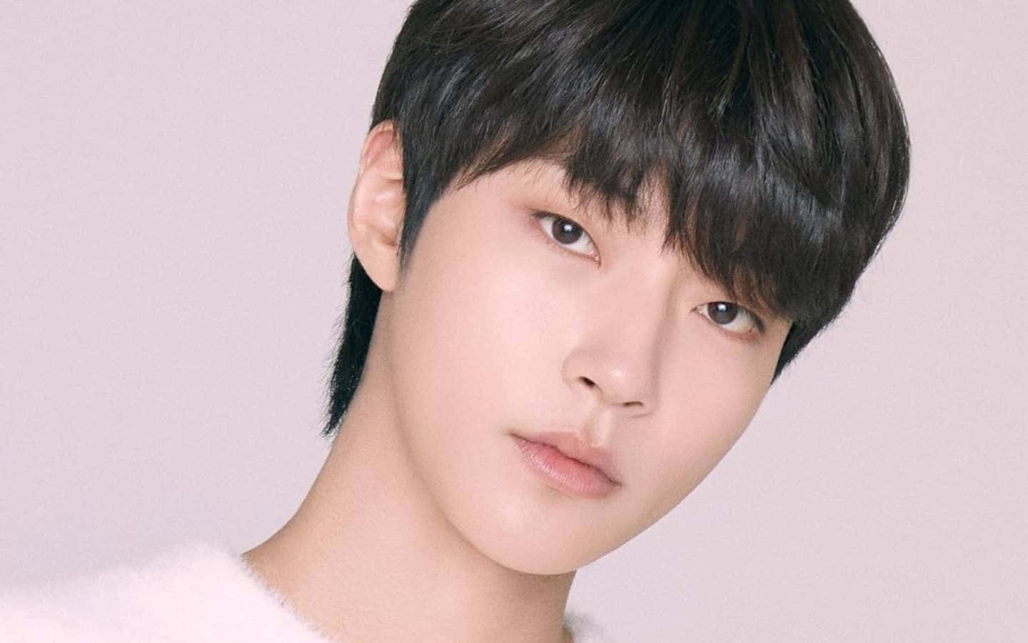Han Seojun, dark hair, white sweater, HD Desktop Wallpaper