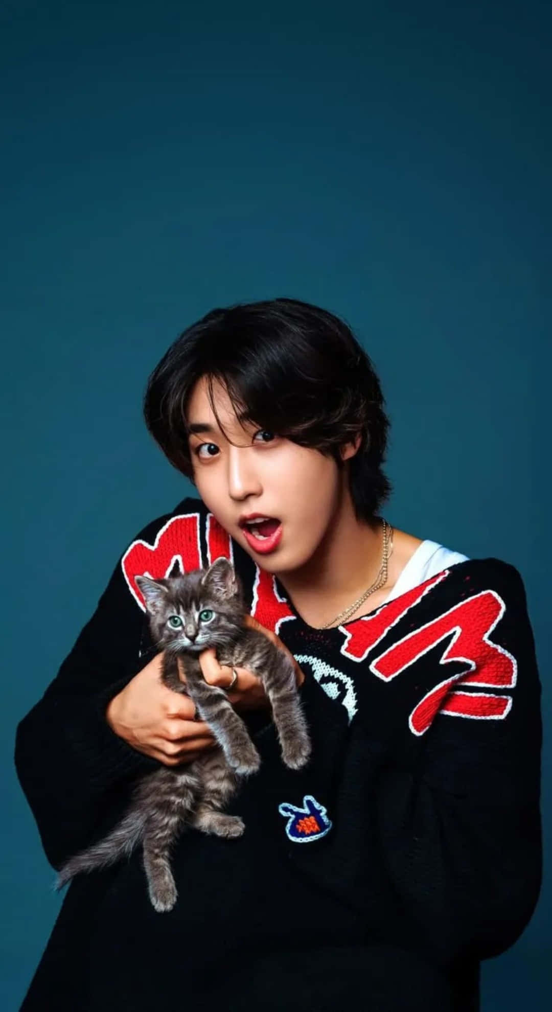 Han Stray Kids, gray tabby kitten, black sweater, Full HD Phone Wallpaper