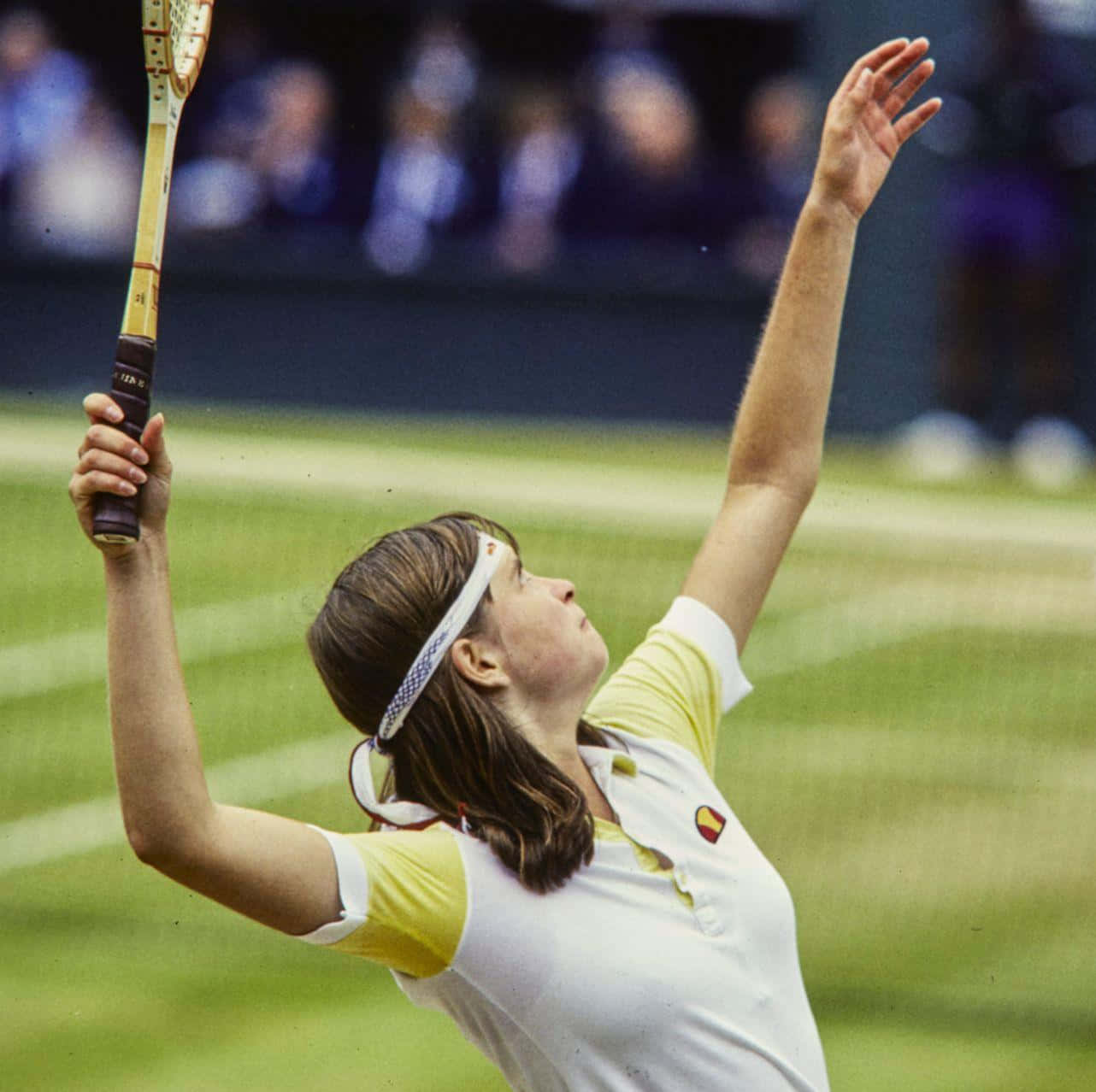 Hana Mandlíková, grass court, mid-serve, HD Desktop Wallpaper