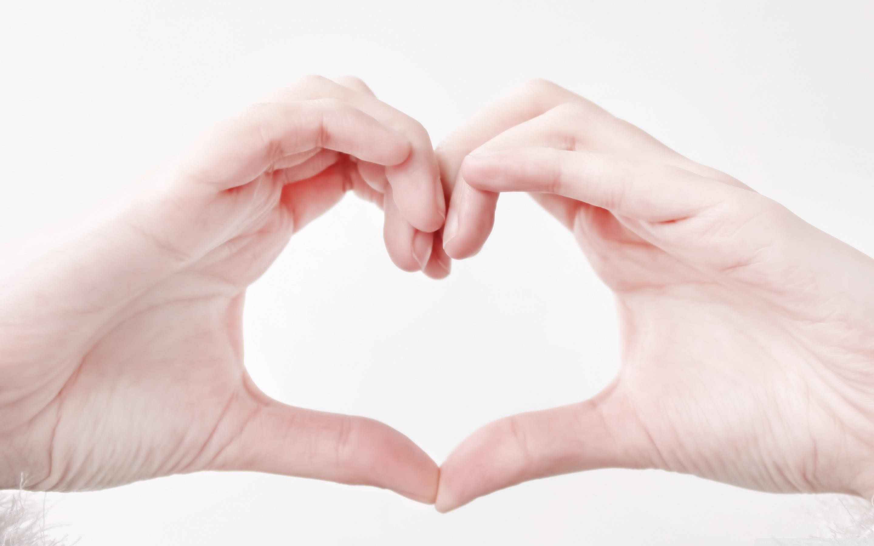 Human Hand Heart, heart shape, soft white background, 2K Desktop Wallpaper