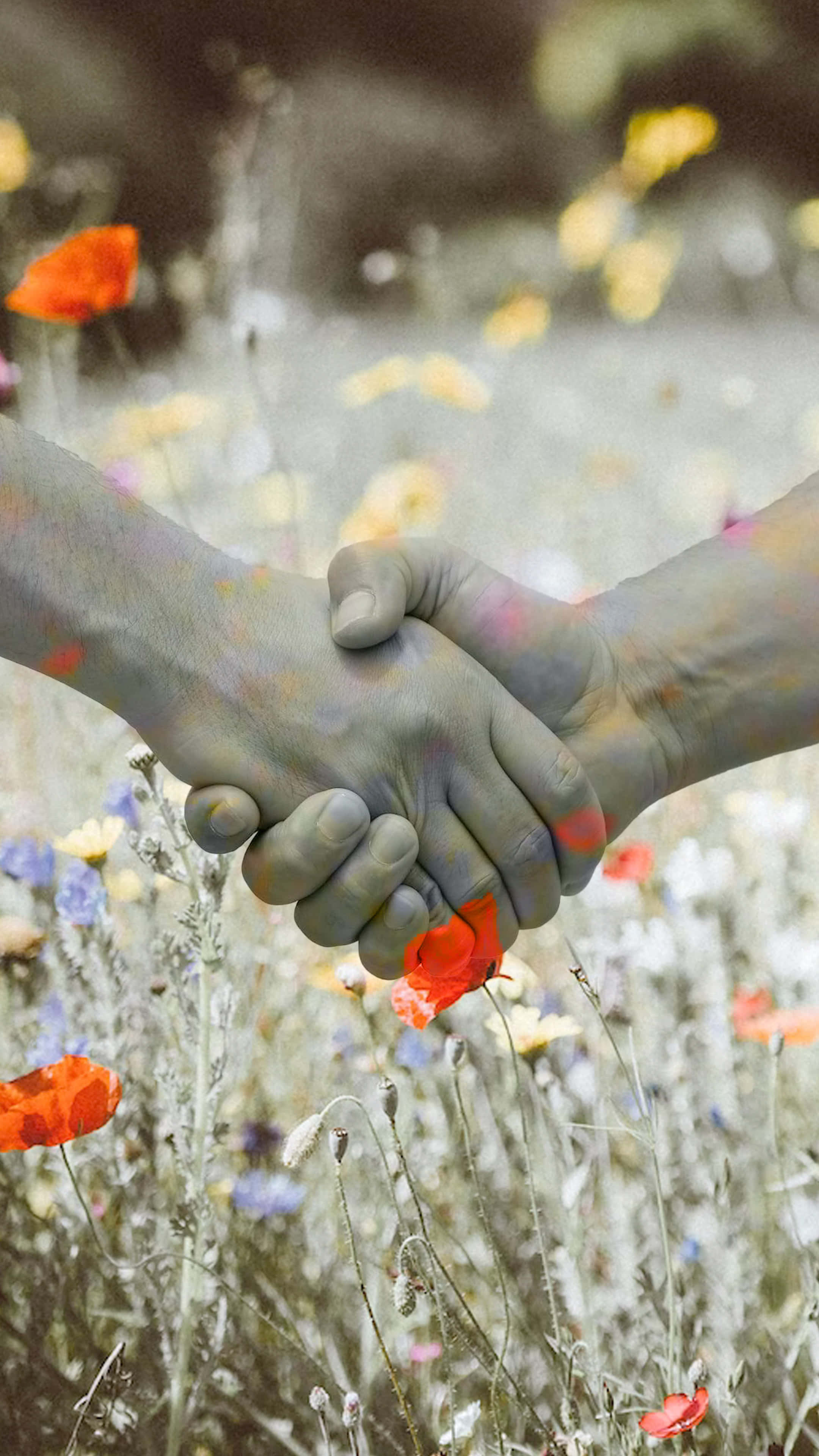 monochrome handshake, flower field, vibrant poppies, 4K Phone Wallpaper