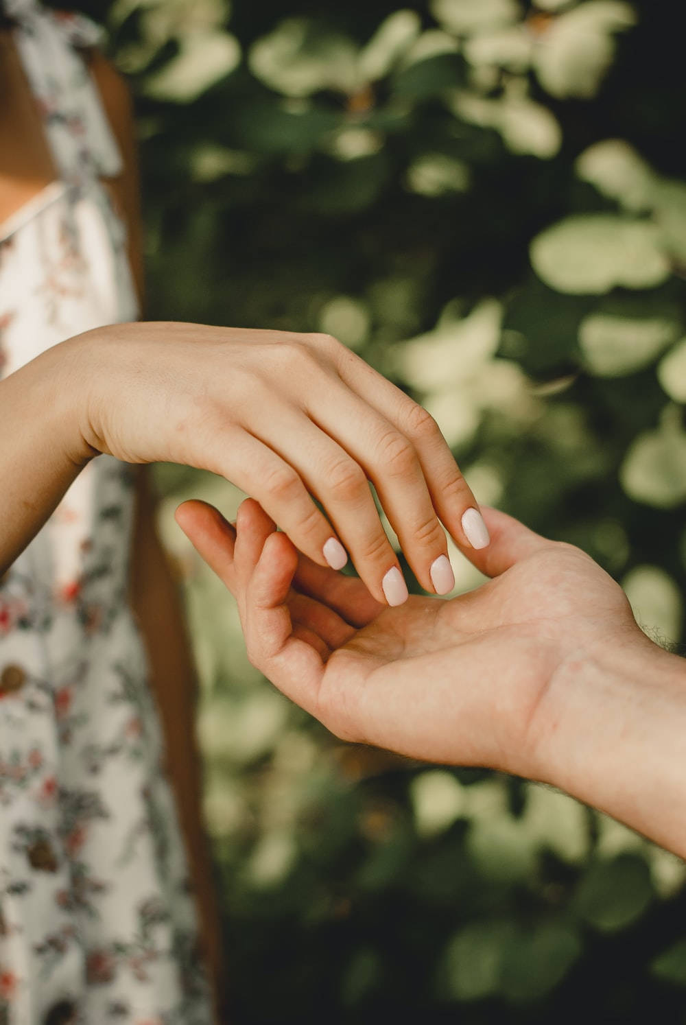 romantic hand in hand, soft green leafy background, HD Phone Wallpaper