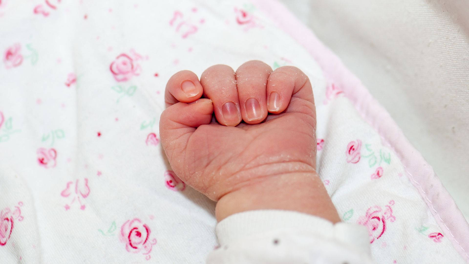 baby hand, newborn, clenched fist, Full HD Desktop Wallpaper