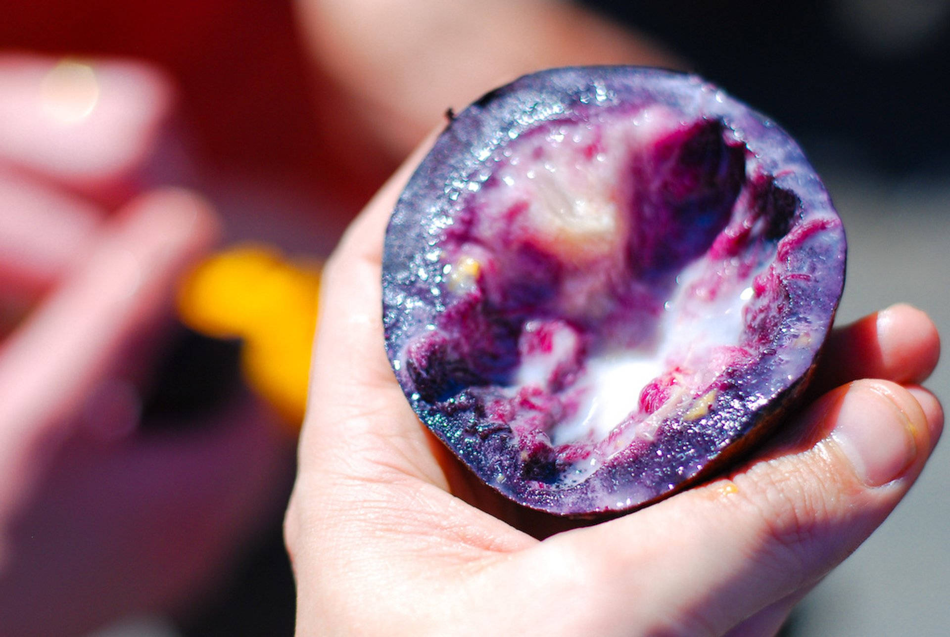 bitten star apple, purple fruit, creamy white interior, Full HD Desktop Wallpaper