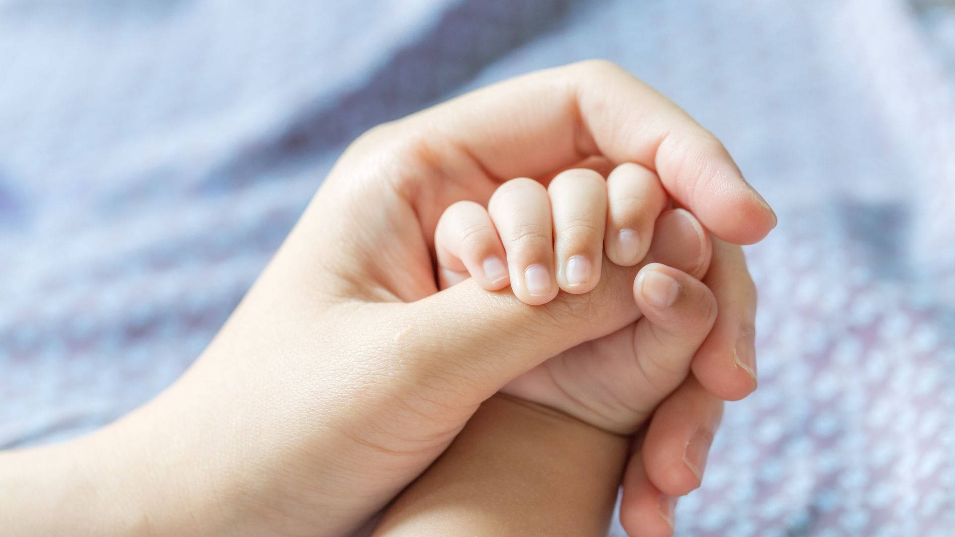 baby hand, mother's thumb, soft blue patterned fabric background, Full HD Desktop Wallpaper