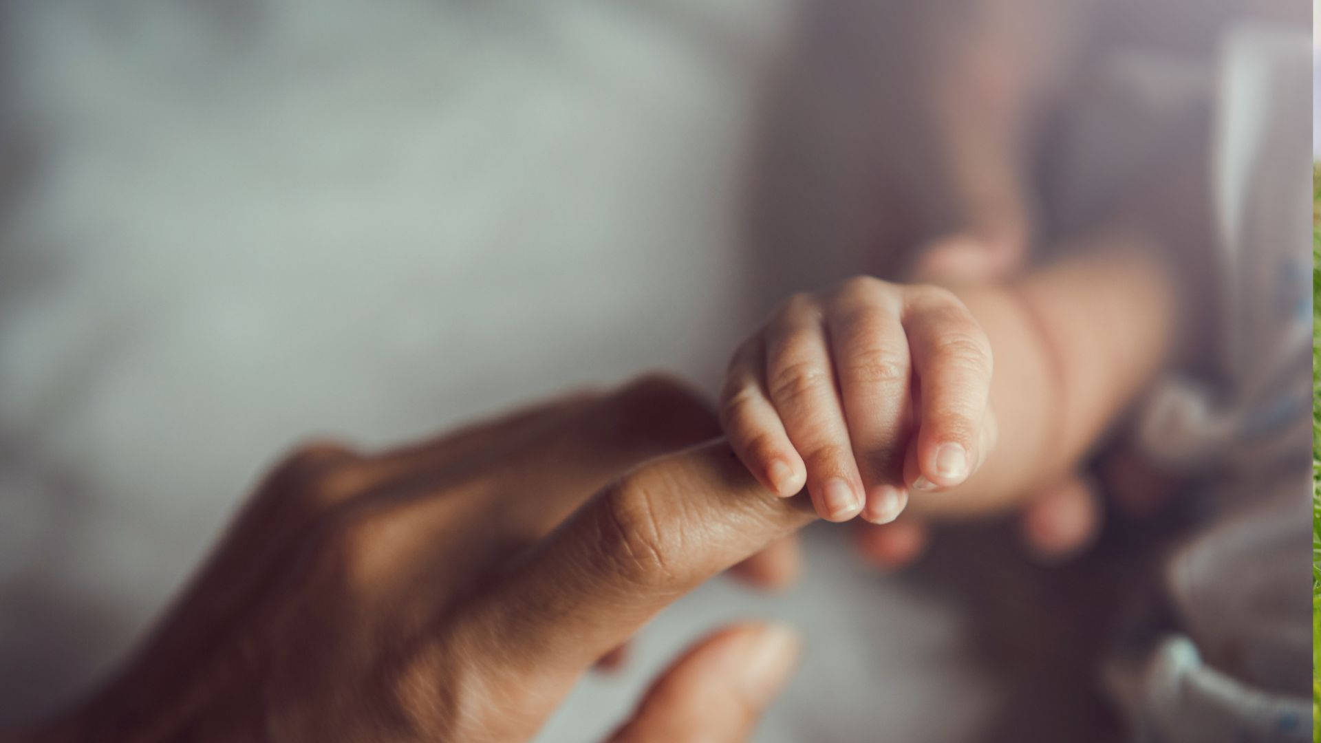 baby hand, adult hand, tiny hand, Full HD Desktop Wallpaper