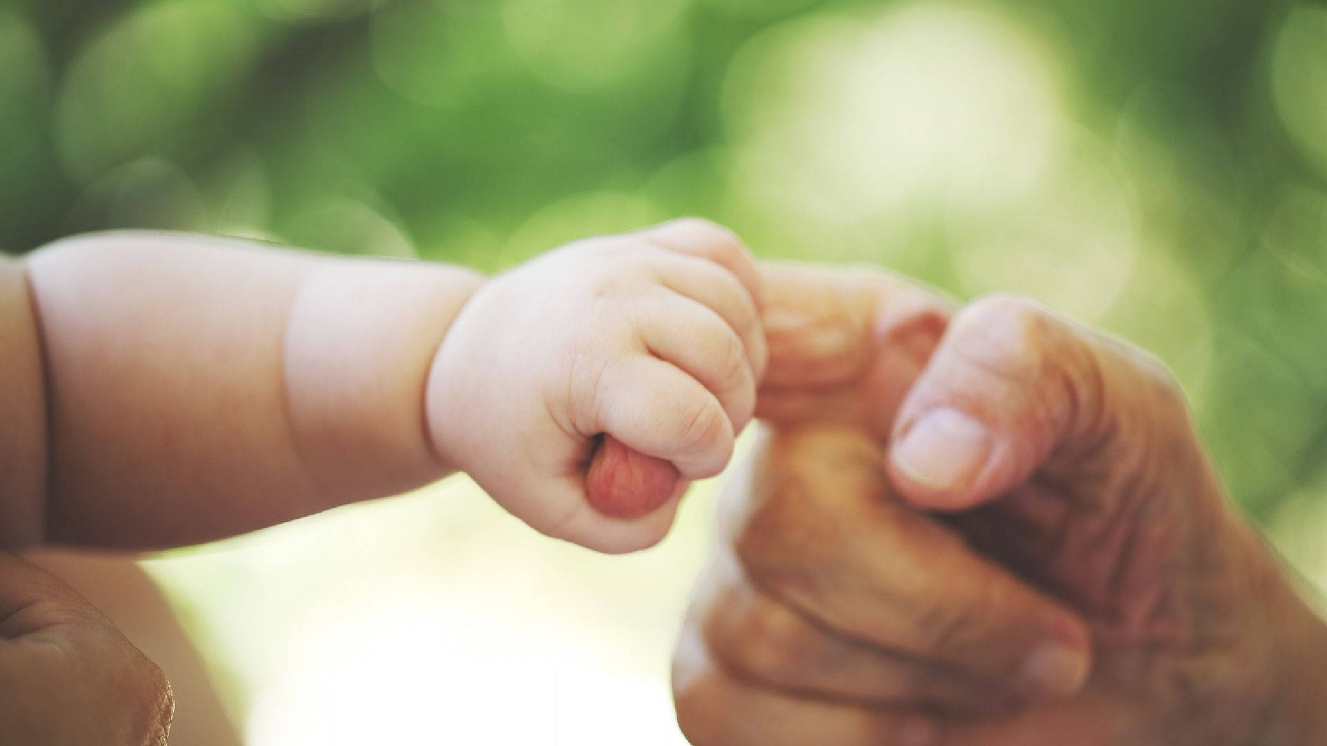 baby hand, adult finger, soft green bokeh background, Full HD Desktop Wallpaper