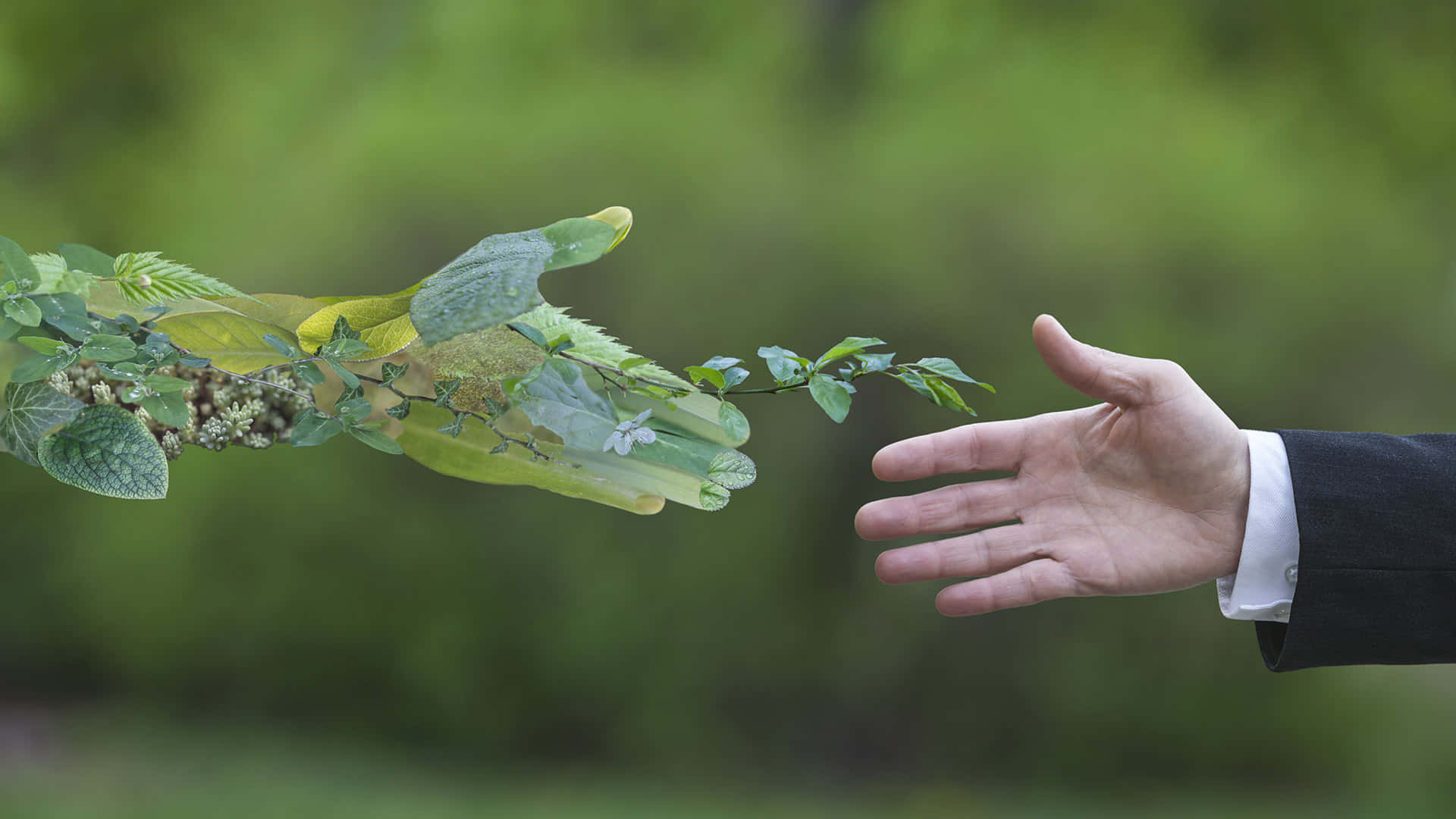 Sustainability Handshake, translucent leafy hand, greenery, Full HD Desktop Wallpaper