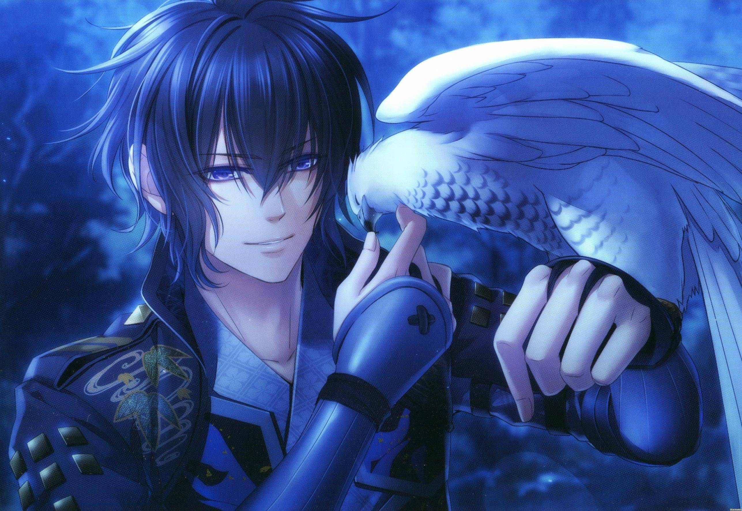 anime blue boy, blue-haired anime boy, white bird, 2K Desktop Wallpaper