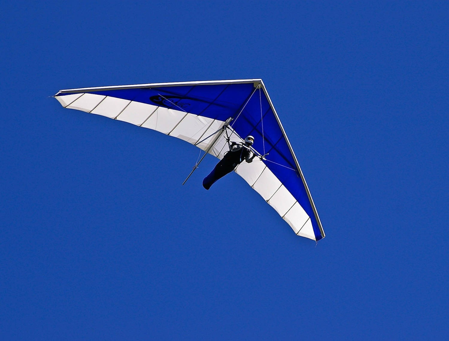 hand gliding, blue and white air glider, blue wings, HD Desktop Wallpaper