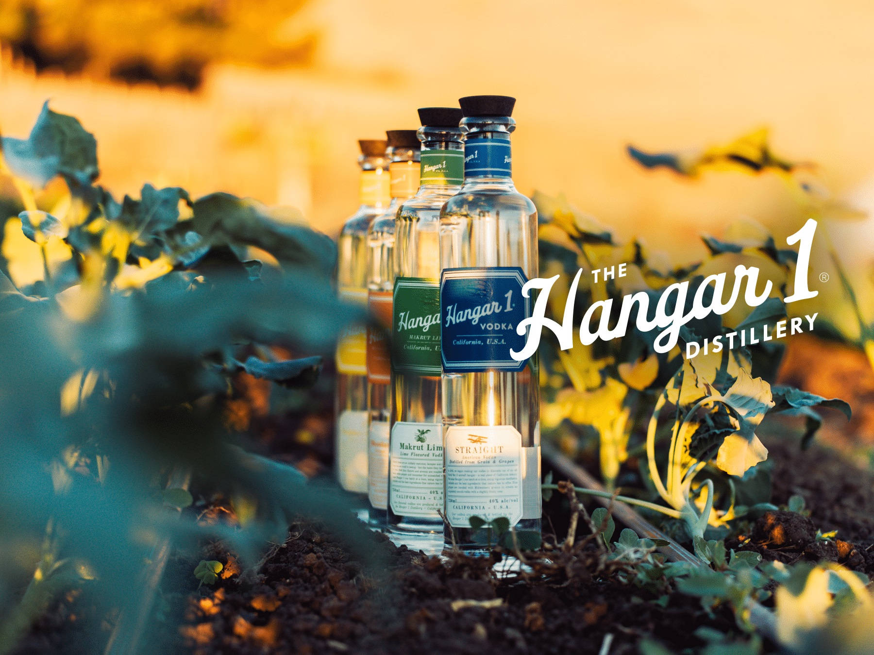 Hangar 1, vodka bottles, golden sunset, HD Desktop Wallpaper