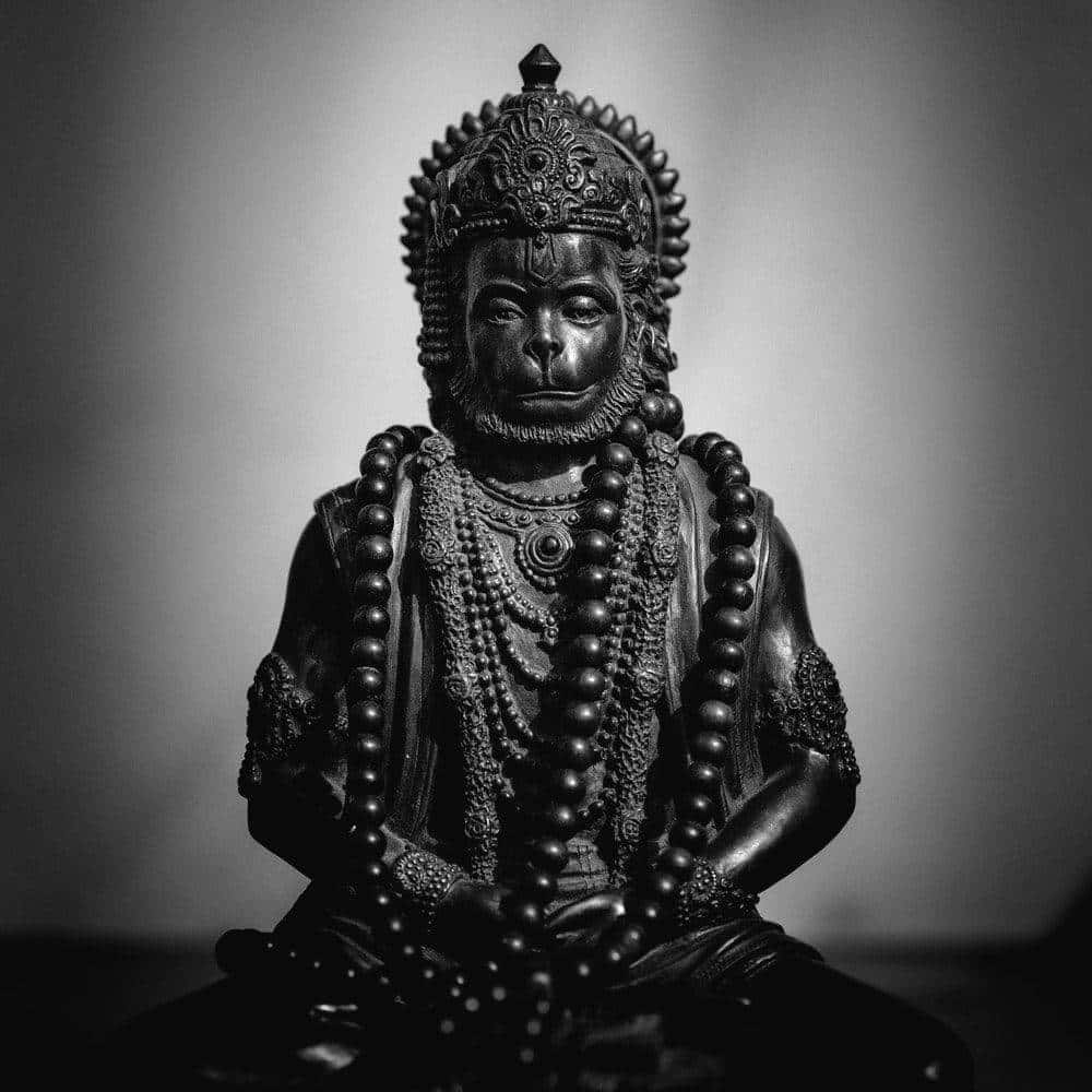 Hanuman, black and white, monkey deity statue, SD Desktop Wallpaper
