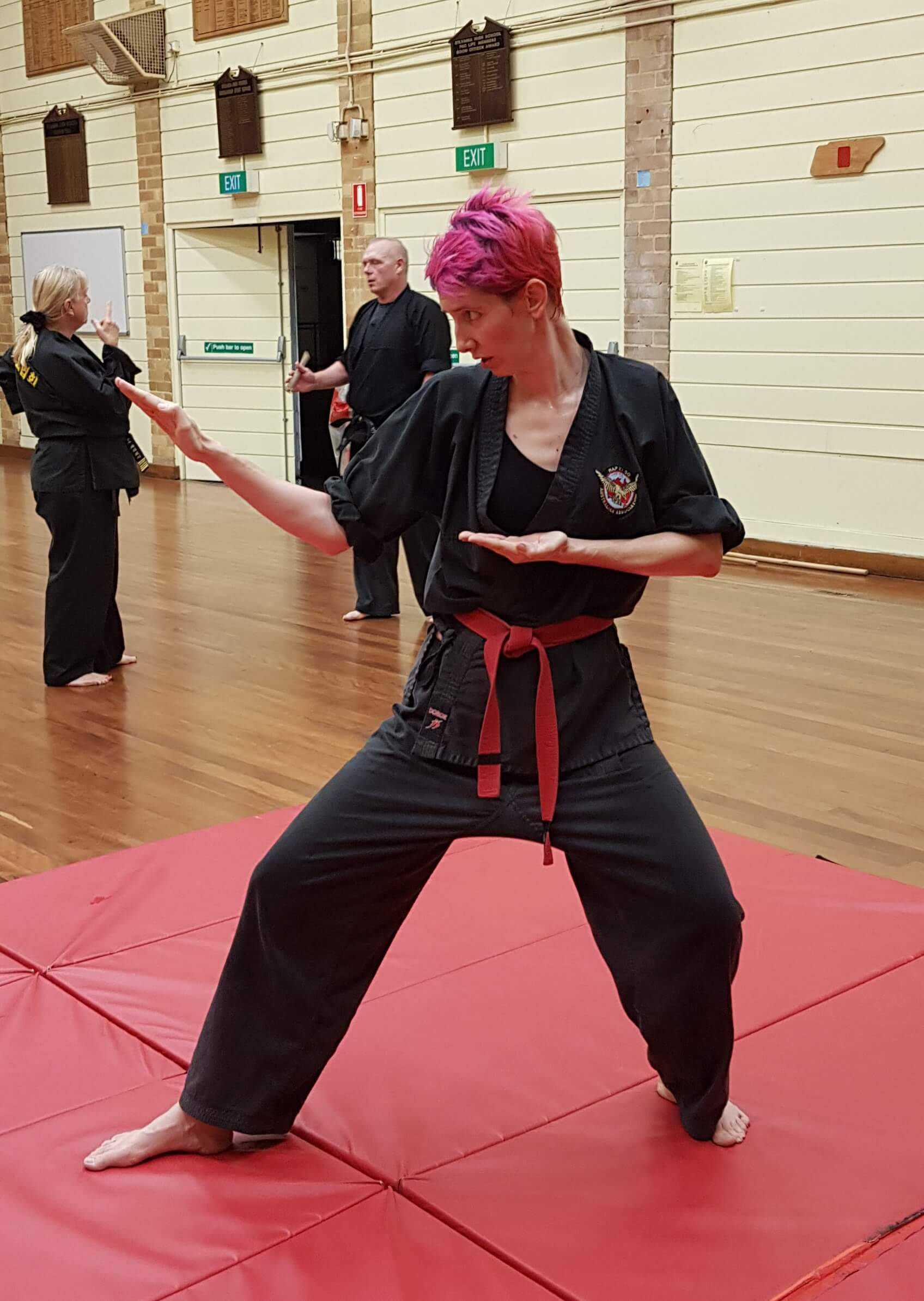 Hapkido, vibrant pink hair, red mats, Full HD Phone Wallpaper