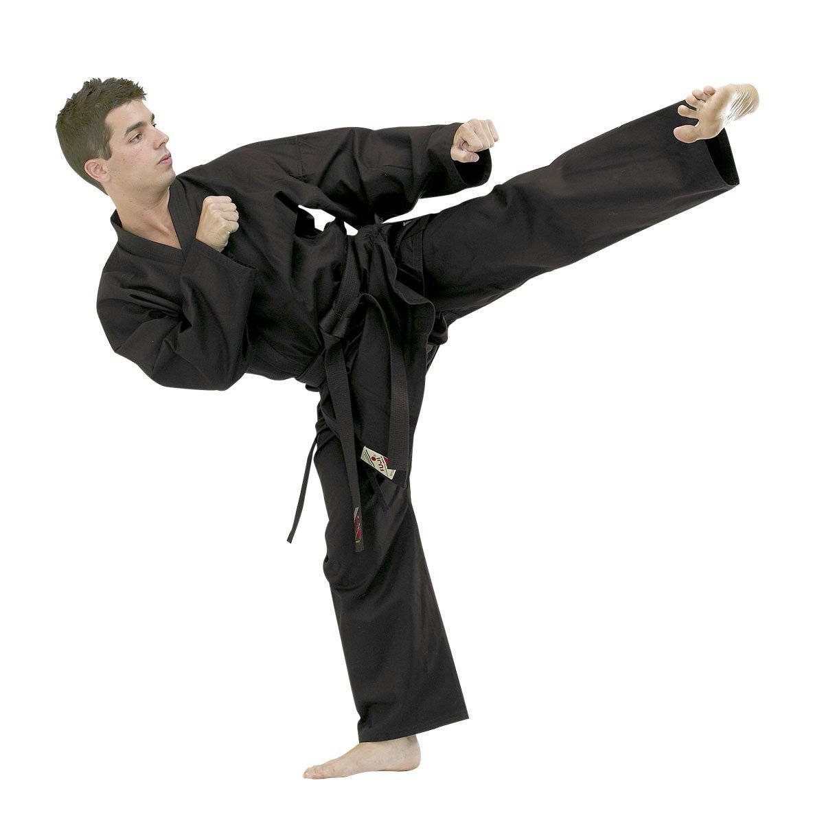 Hapkido, side kick, black uniform, SD Desktop Wallpaper