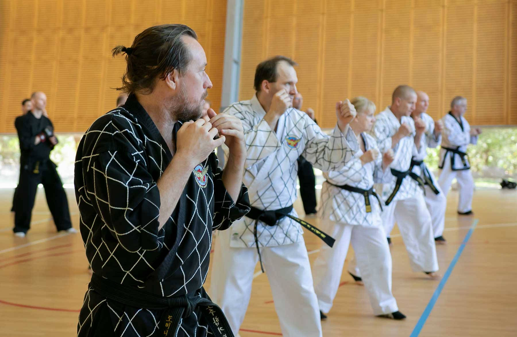 Hapkido, black gi with white grid pattern, white gis with black belts, HD Desktop Wallpaper