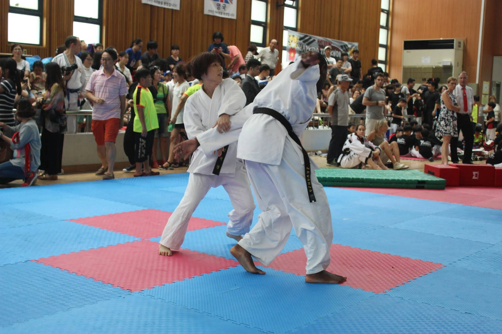 Hapkido, woman, arm lock, HD Desktop Wallpaper