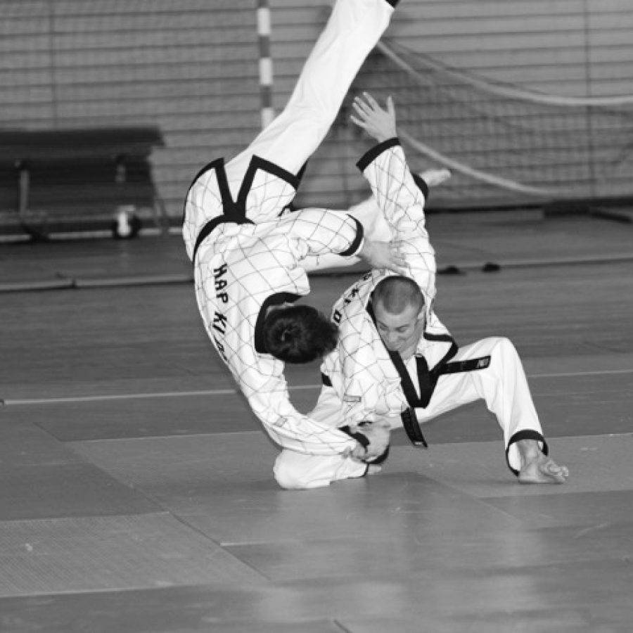 Hapkido, hand throw, white uniforms, SD Desktop Wallpaper