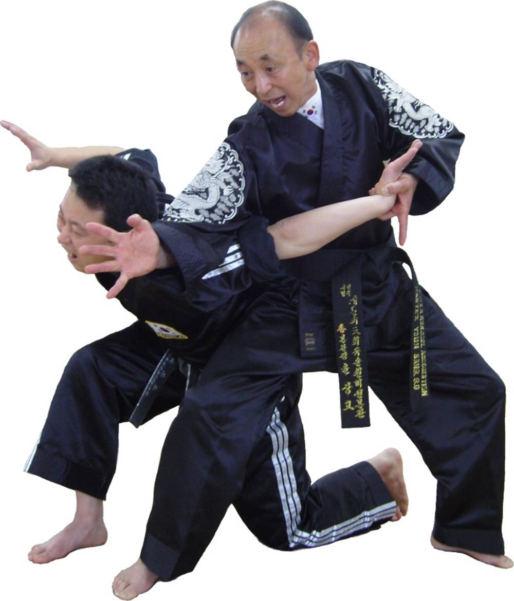 Hapkido, shoulder and wrist control, black uniforms, SD Phone Wallpaper