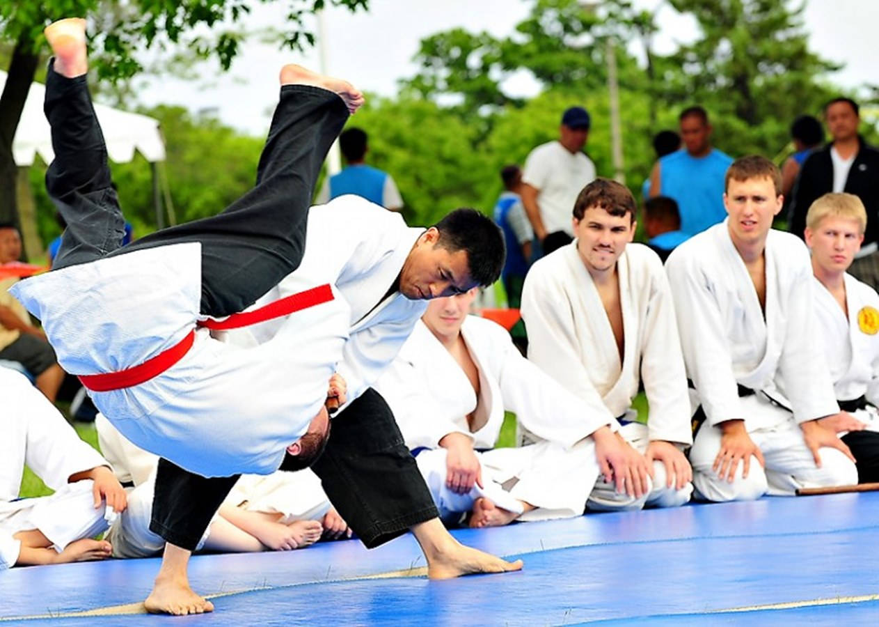 Hapkido, white gi, red belt, SD Desktop Wallpaper