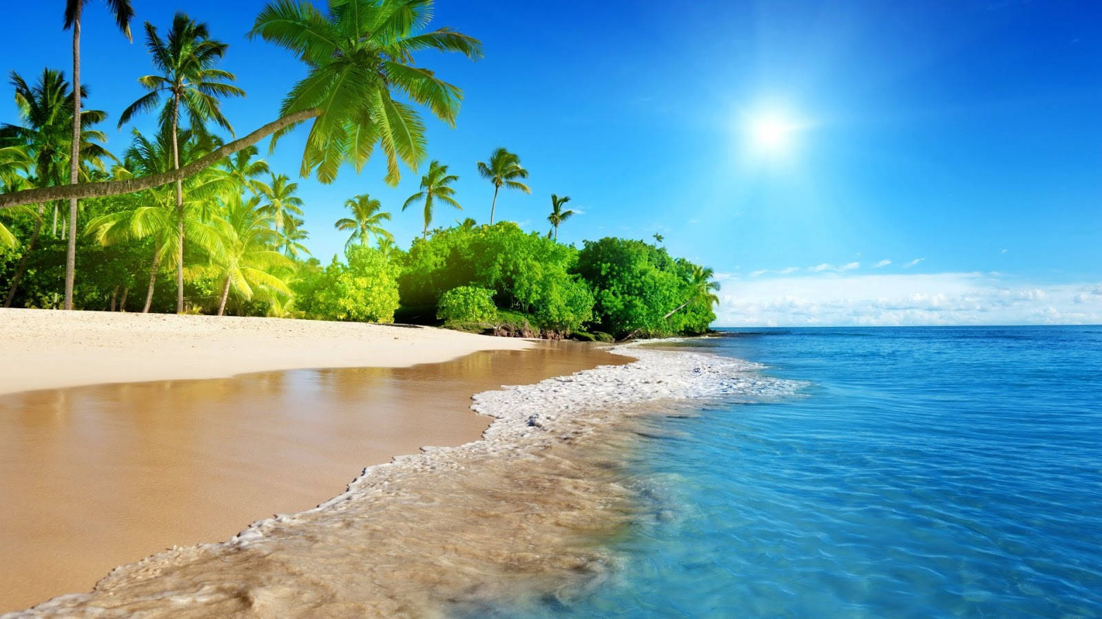 turquoise waves, pristine sandy beach, swaying palm trees, HD Desktop Wallpaper