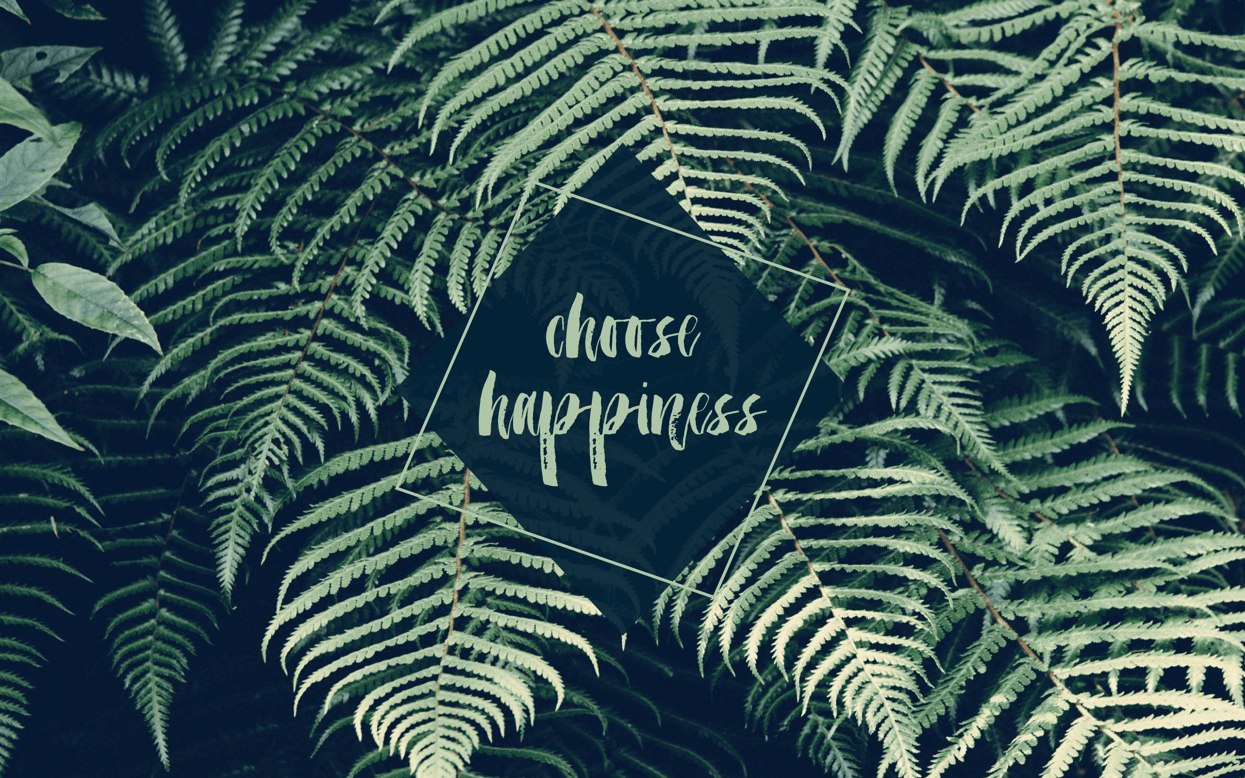Lush fern fronds, deep green, hexagonal text overlay, 2K Desktop Wallpaper