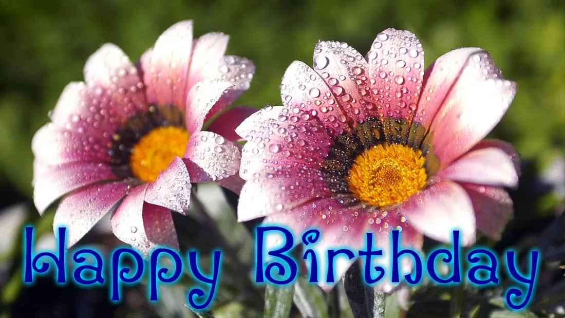 Happy Birthday Flower