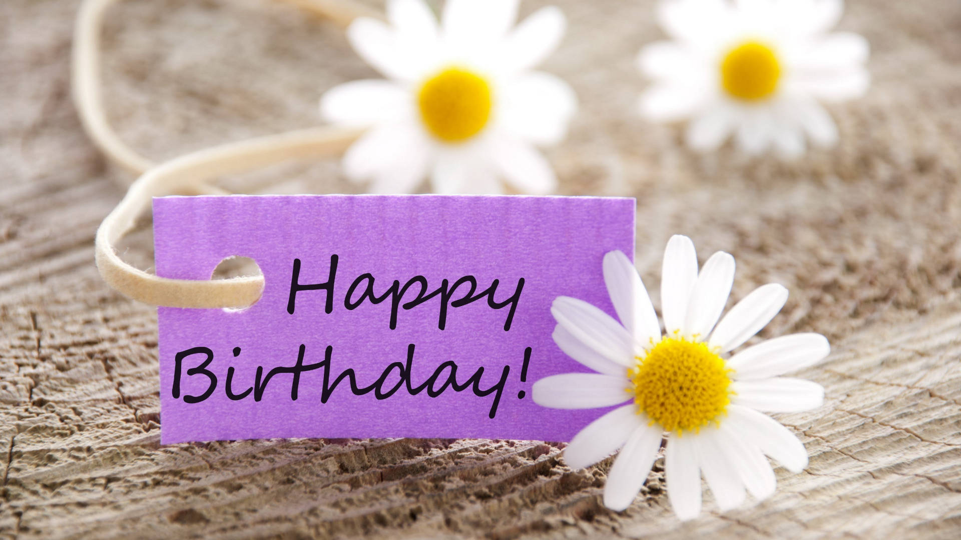 Happy Birthday Flower Dasies, purple birthday tag, handwritten text, Full HD Desktop Wallpaper