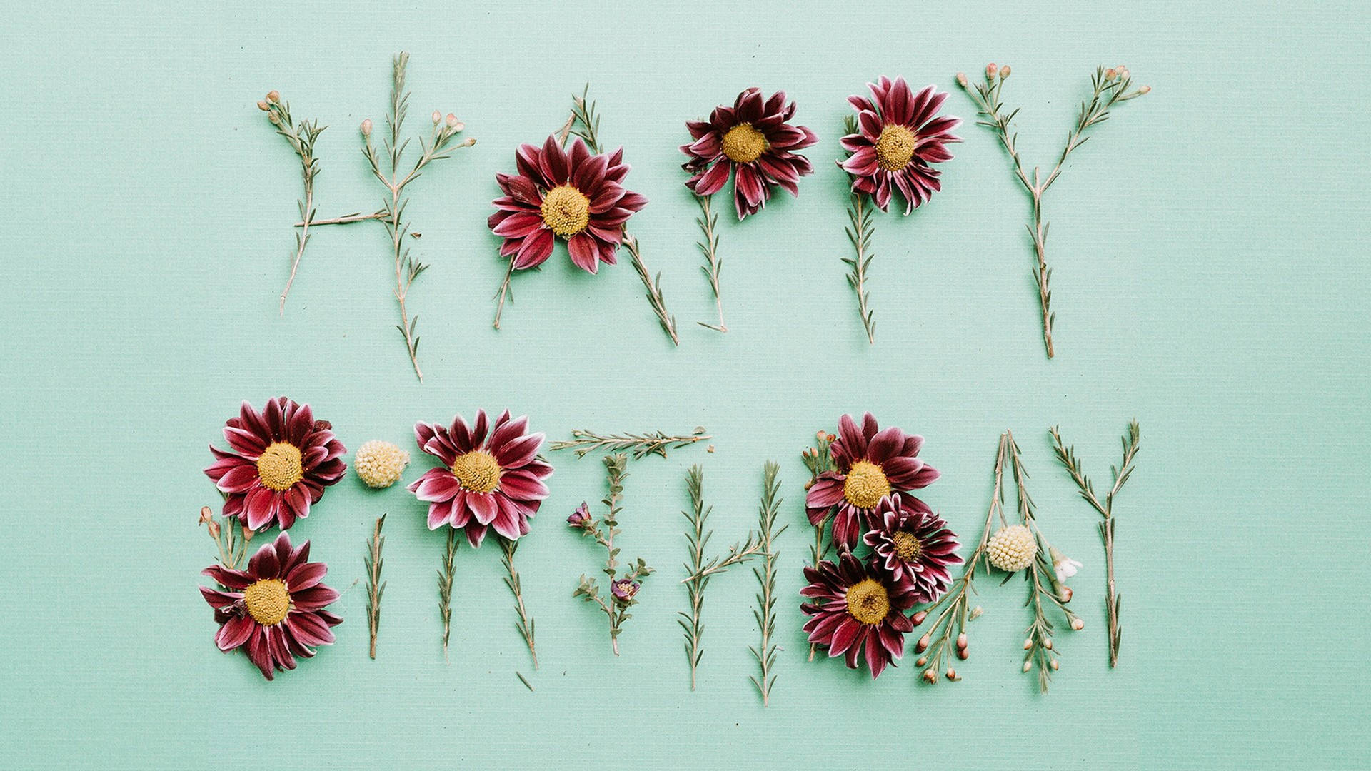 HAPPY BIRTHDAY, dried red flowers, greenery, Full HD Desktop Wallpaper
