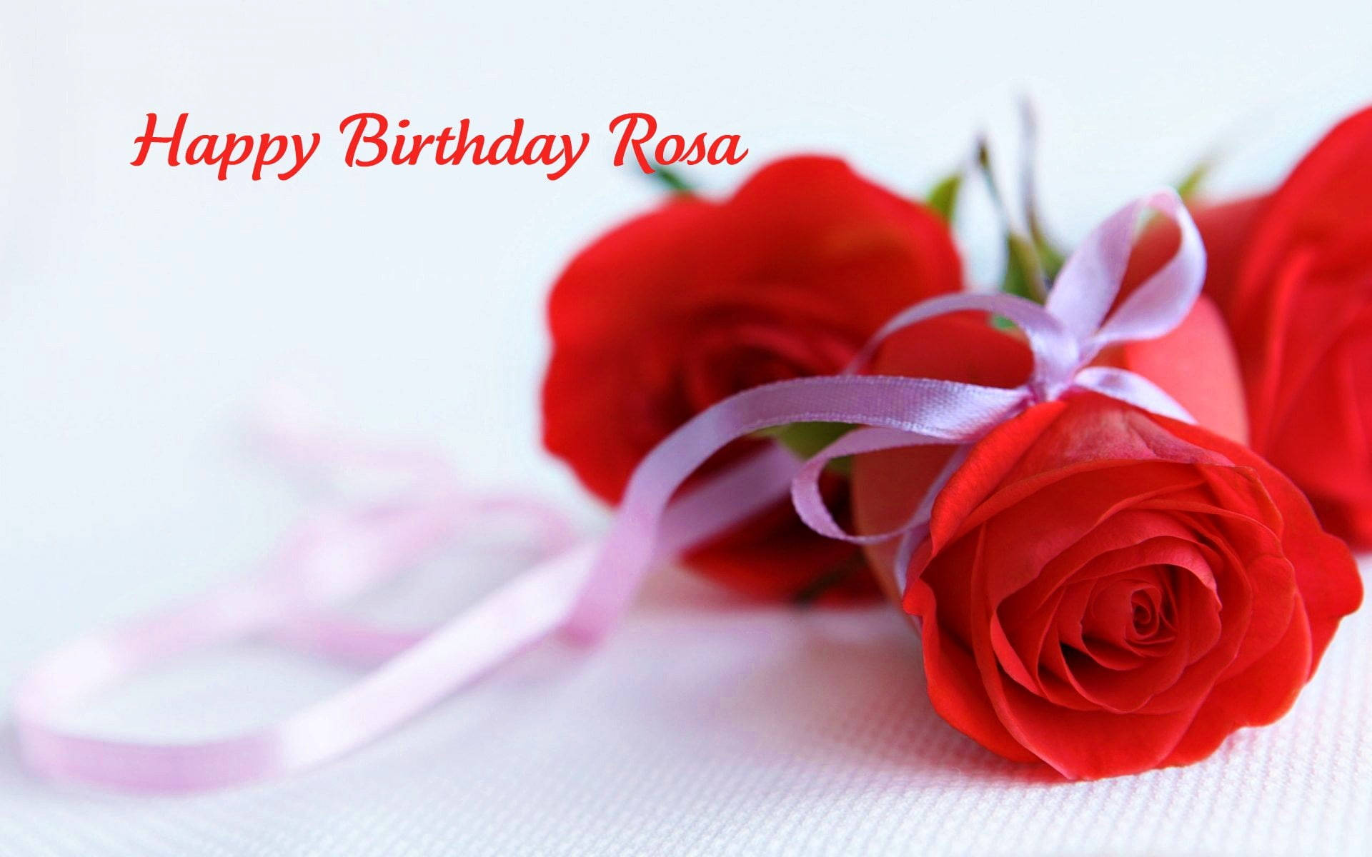 Three Roses Happy Birthday Flower, vibrant red roses, soft pink ribbon, Full HD Desktop Wallpaper