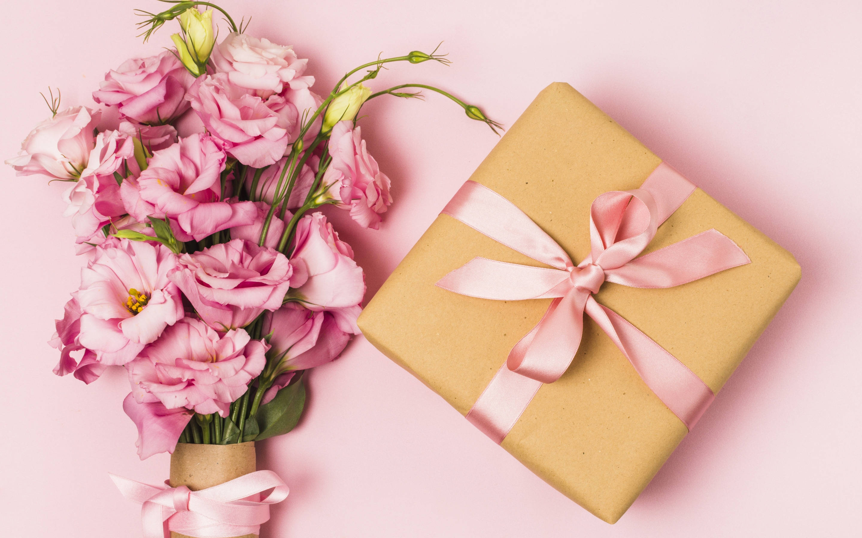 pink on pink, wrapped gift box, pink flowers, 2K Desktop Wallpaper