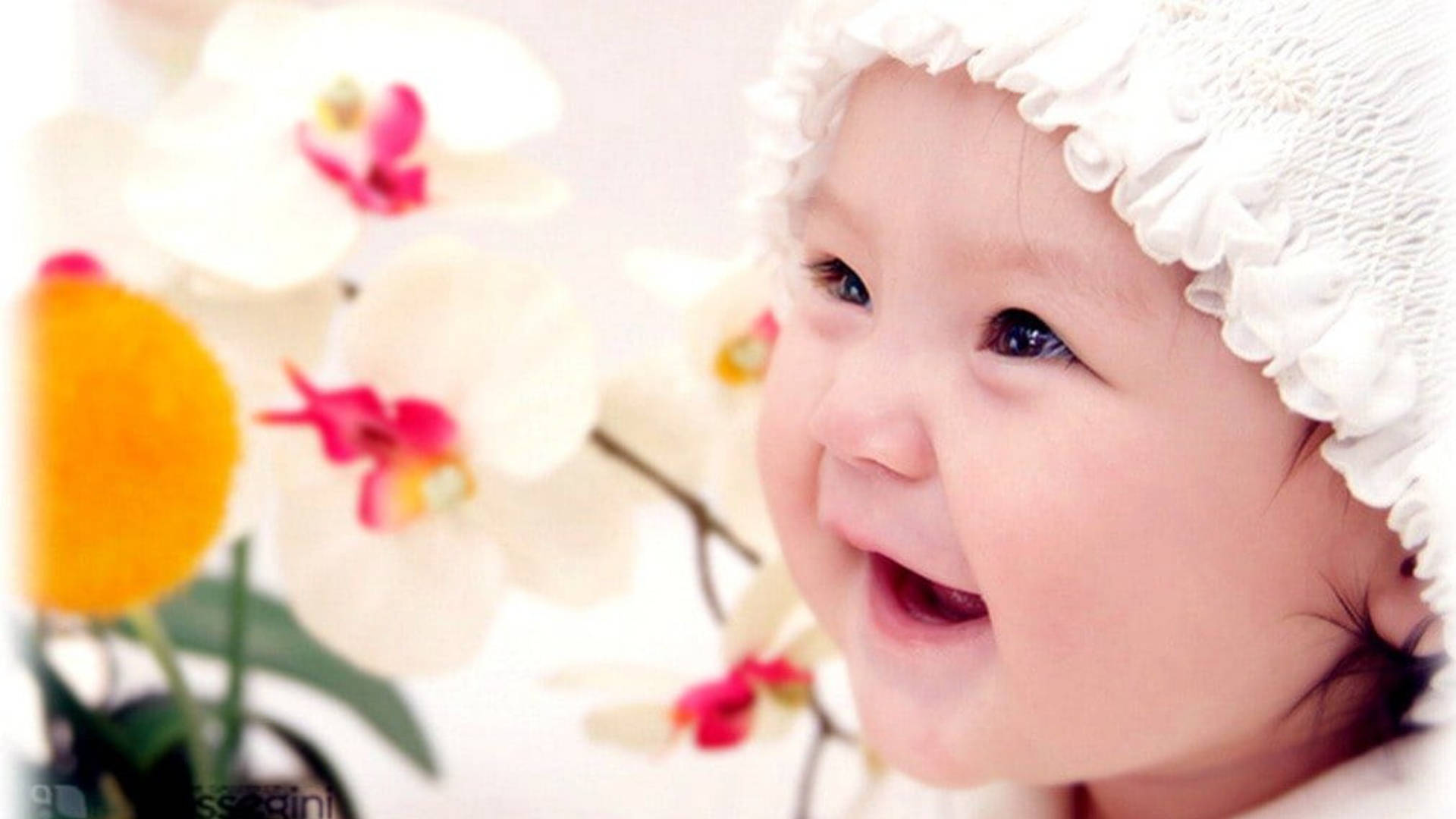 white frilly bonnet, soft-focus white and pink orchids, joyful baby, Full HD Desktop Wallpaper