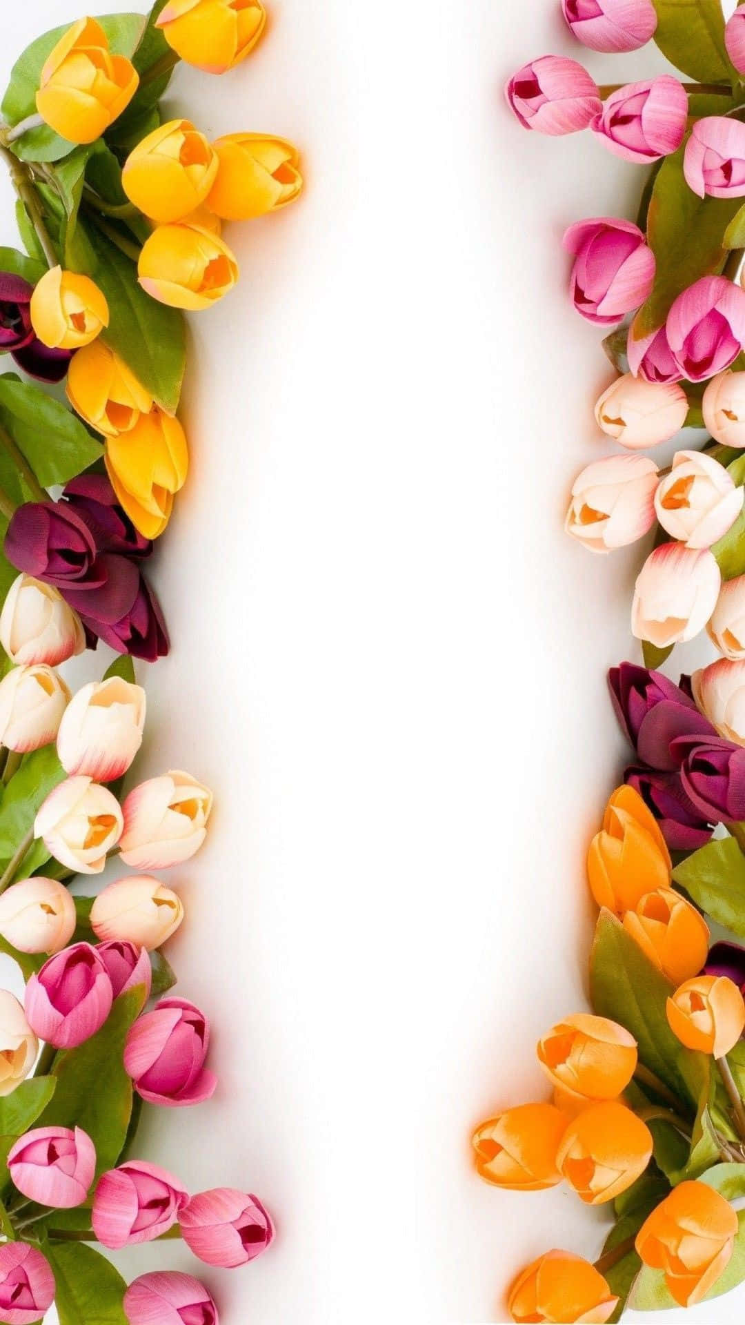 tulips, pink, orange, Full HD Phone Wallpaper
