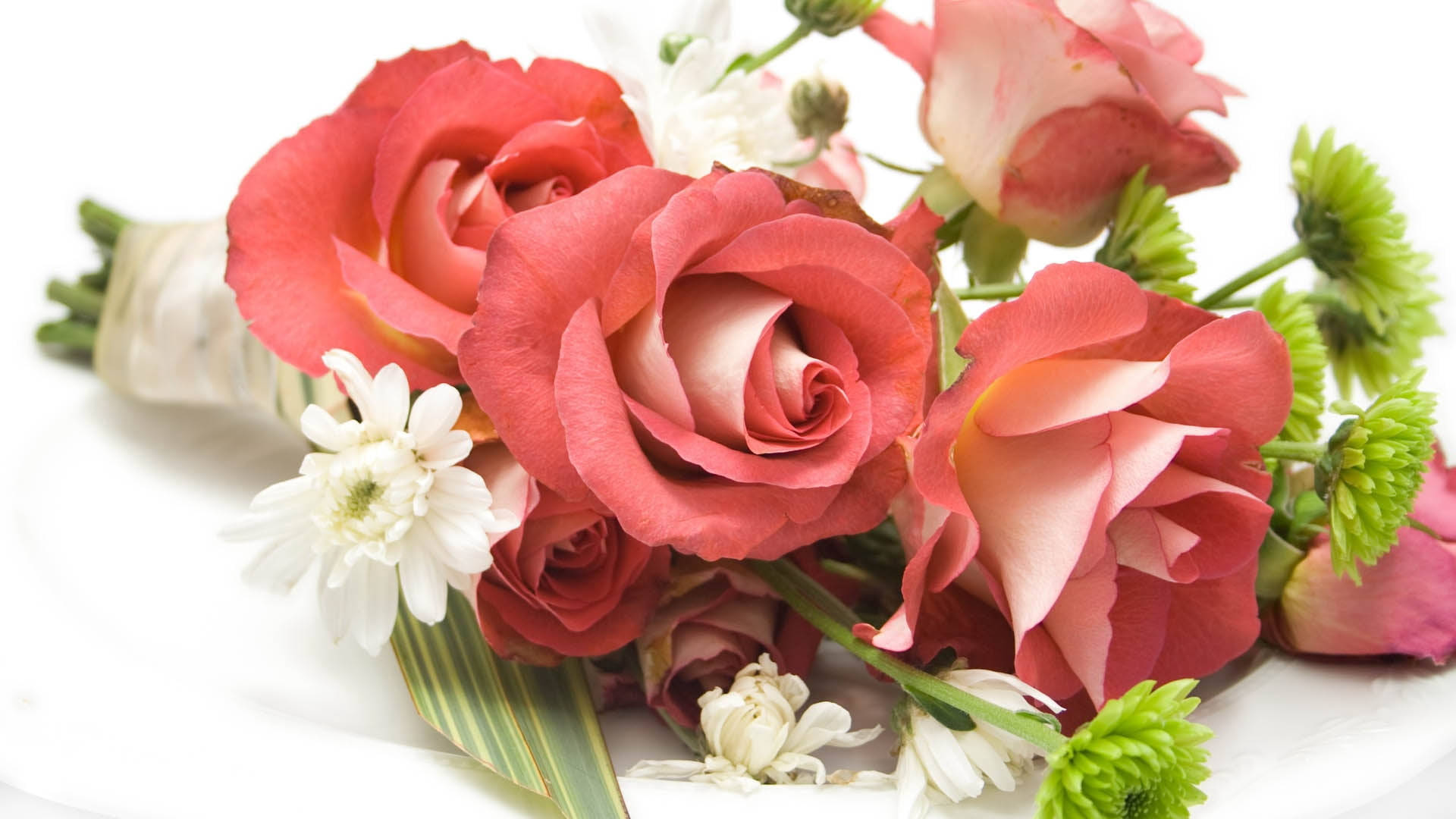 peach, coral roses, white daisies, Full HD Desktop Wallpaper