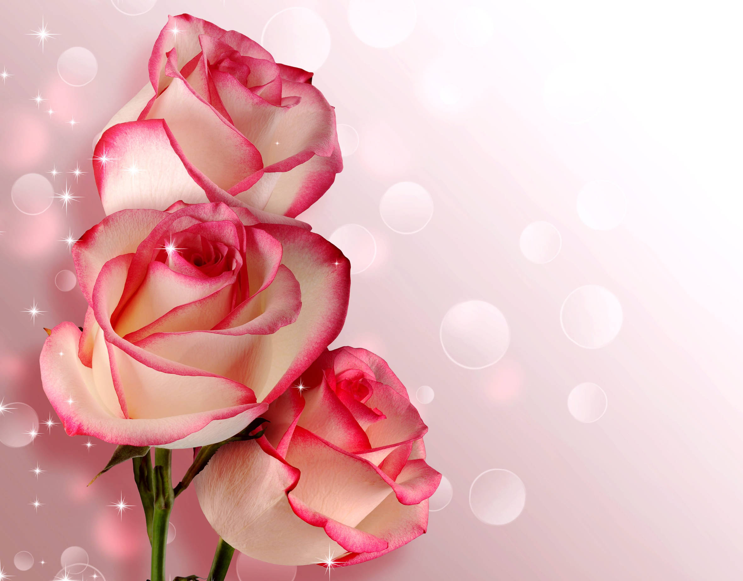 sparkling happy birthday flowers, pink roses, sparkling highlights, Full HD Desktop Wallpaper