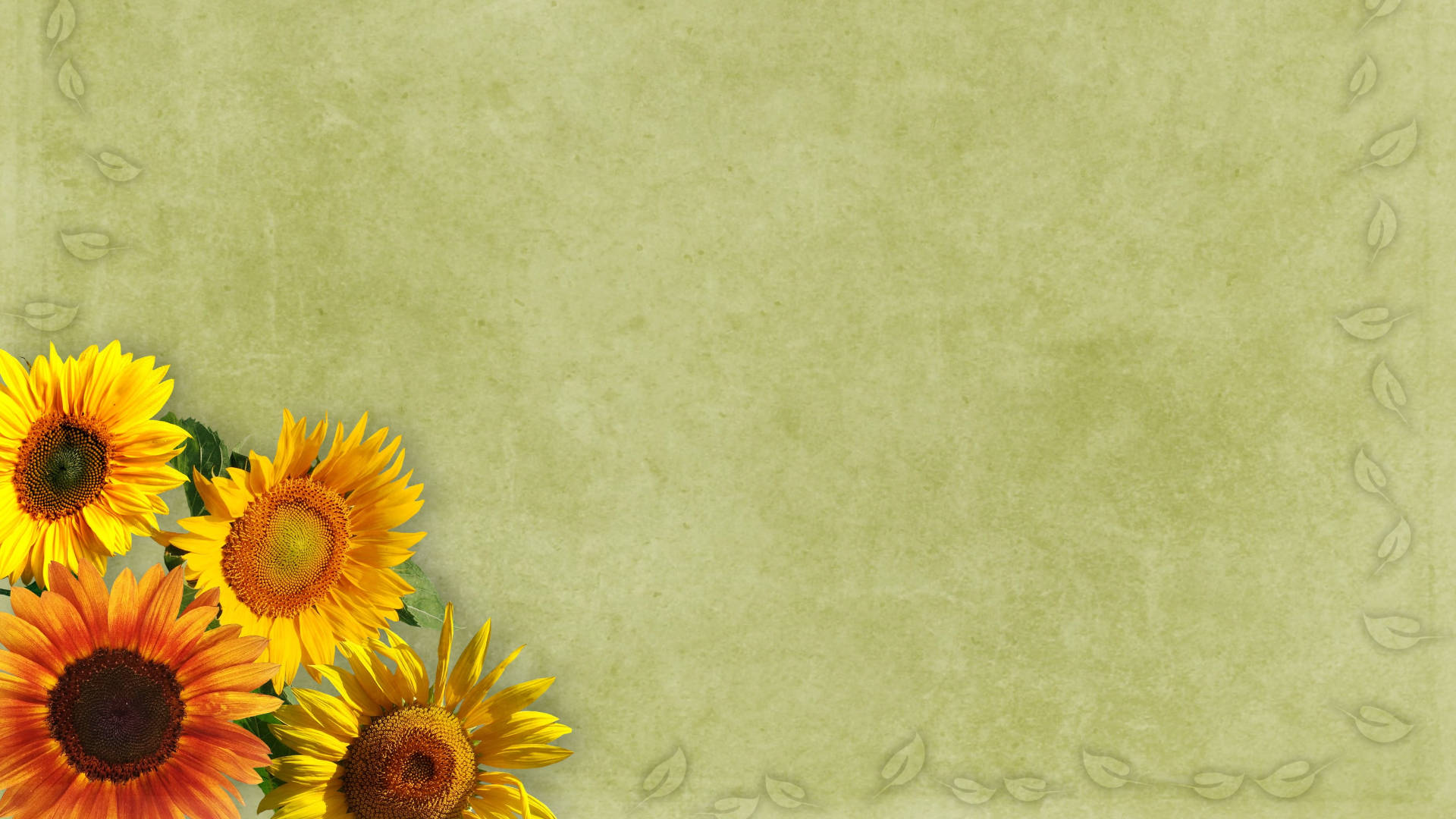 sunflowers, olive green, textured background, Full HD Desktop Wallpaper