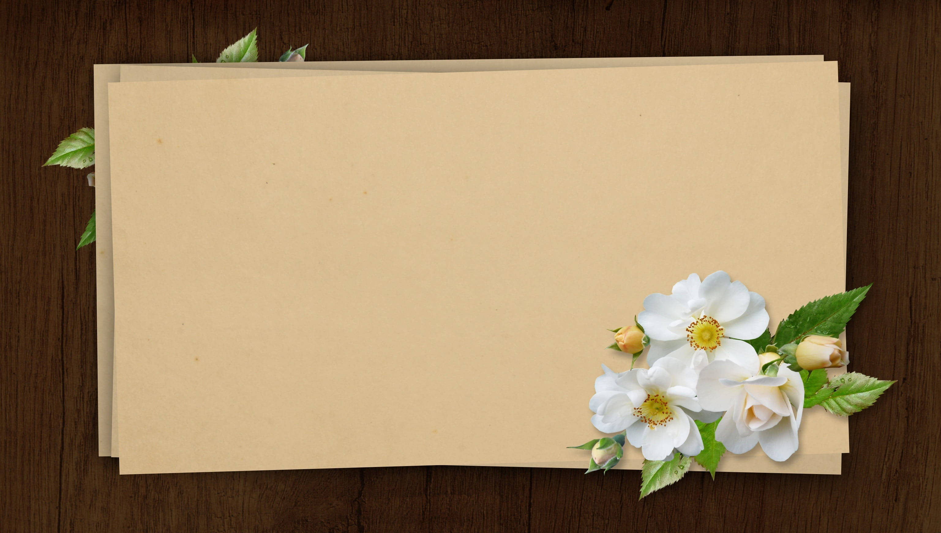 beige paper, dark wooden surface, white flowers, 2K Desktop Wallpaper