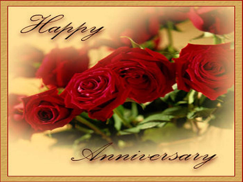 Happy Anniversary, deep red roses, elegant cursive text, SD Desktop Wallpaper