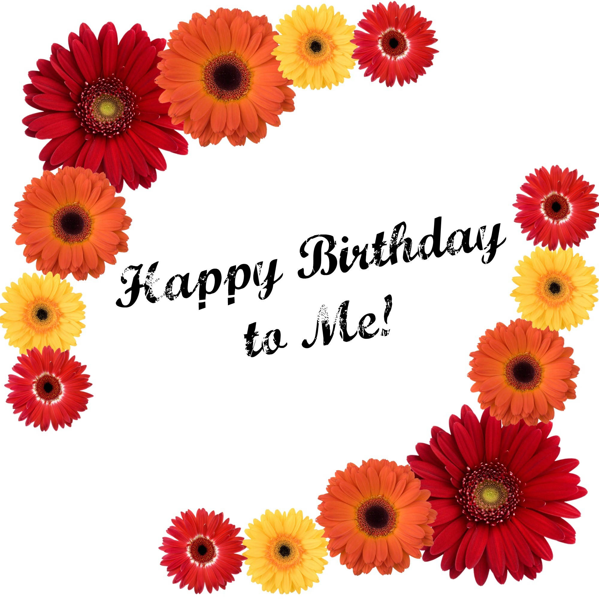 floral happy birthday to me, red orange and yellow gerbera daisies, bold black birthday text, Full HD Desktop Wallpaper