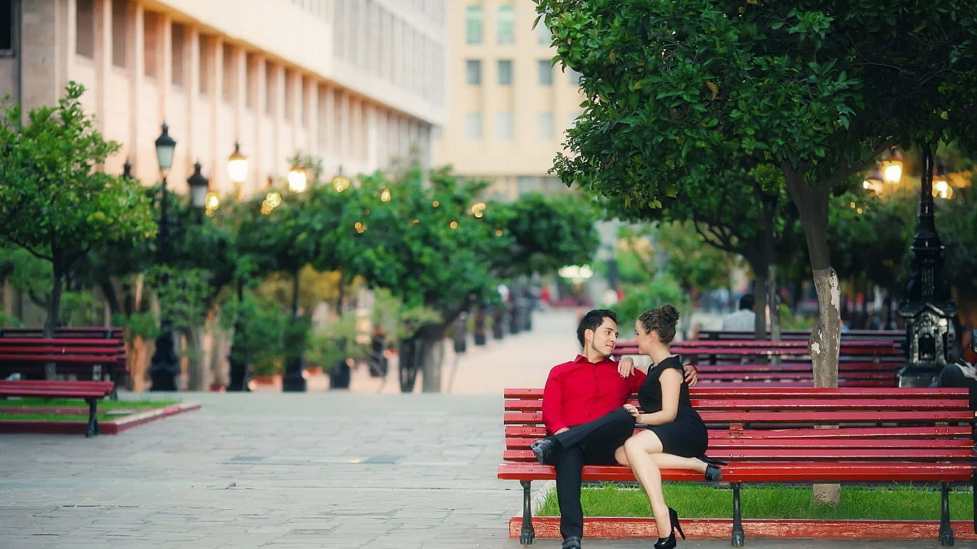 red and black, red bench, tree-lined urban plaza, Full HD Desktop Wallpaper