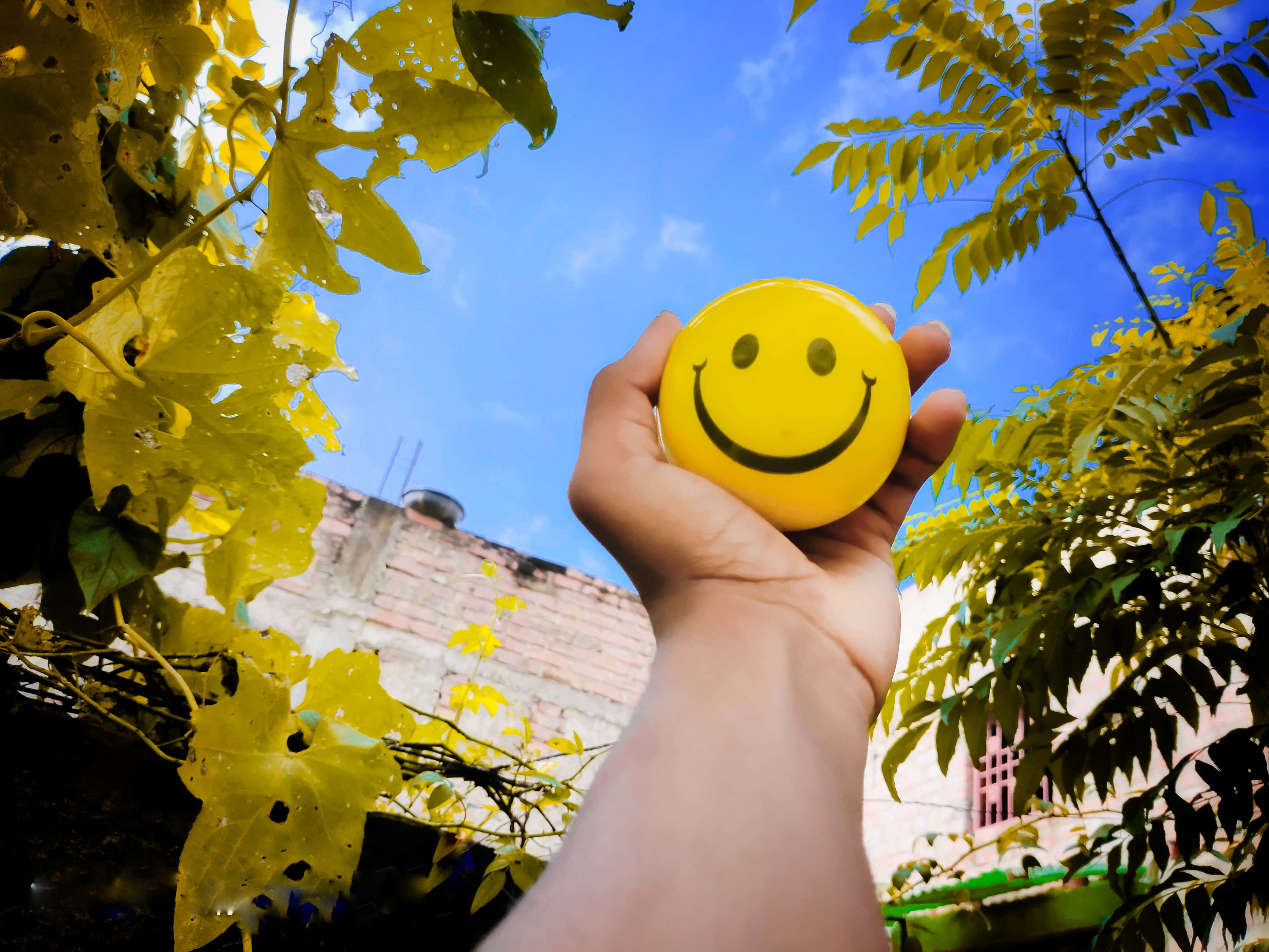 happy desktop, bright yellow smiley face ball, golden leaves, 4K Desktop Wallpaper