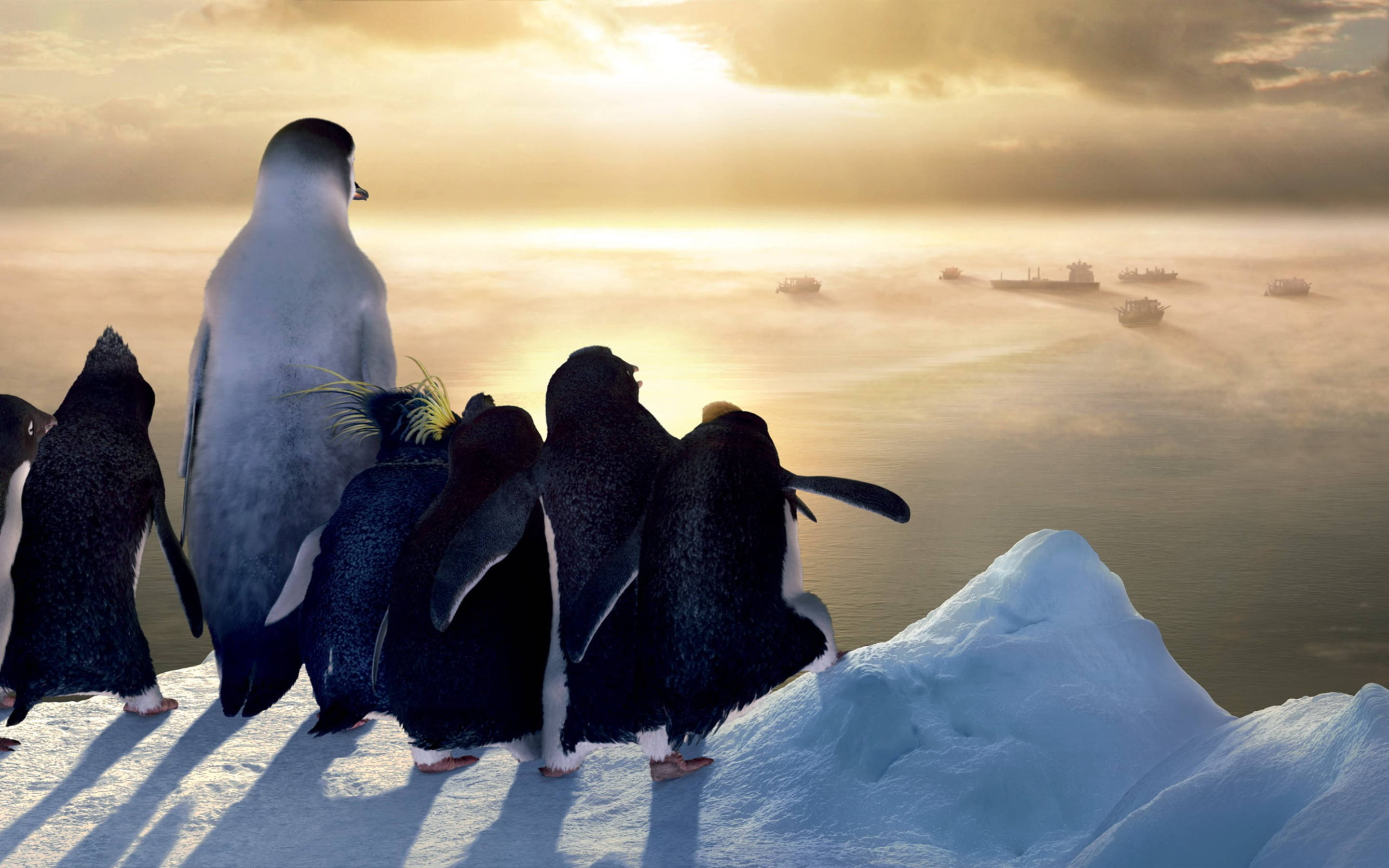 penguins, iceberg, sunrise, 2K Desktop Wallpaper
