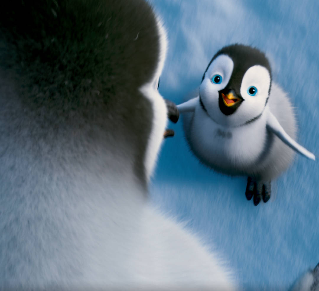 cute happy feet penguin, penguin, baby penguin, SD Desktop Wallpaper