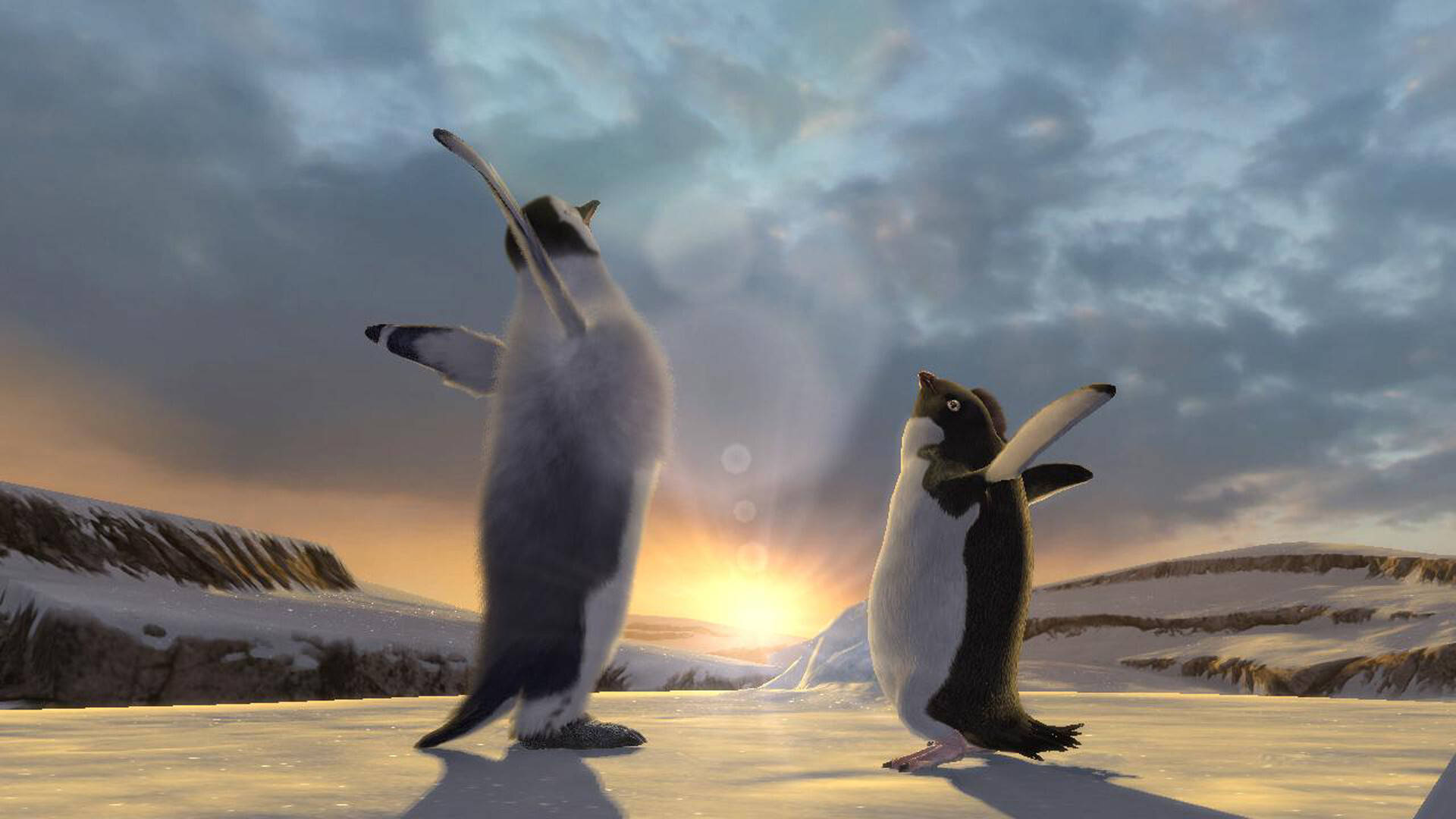 Happy Feet, sunrise, penguins, Full HD Desktop Wallpaper
