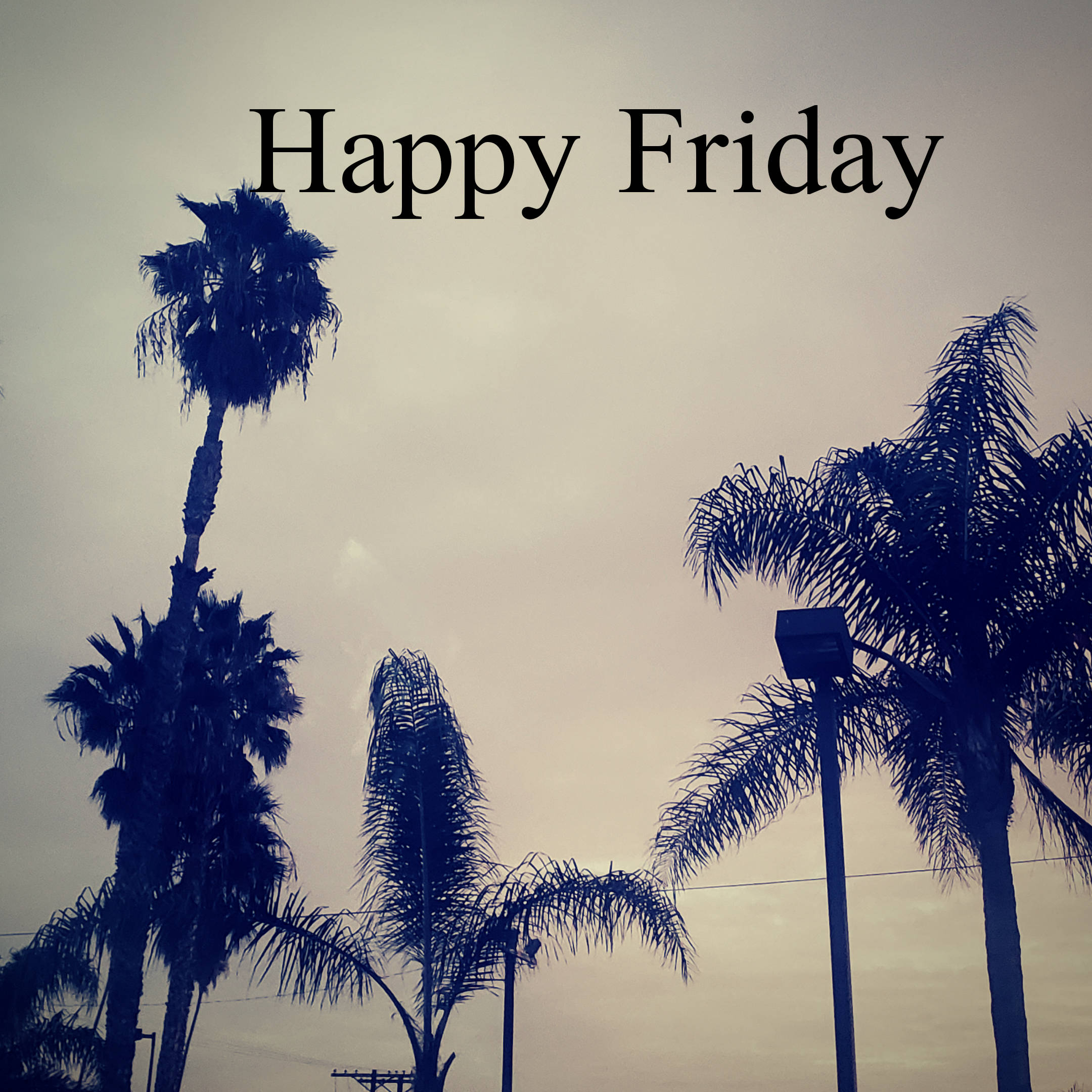 Happy Friday, palm trees, muted sky, Full HD Desktop Wallpaper
