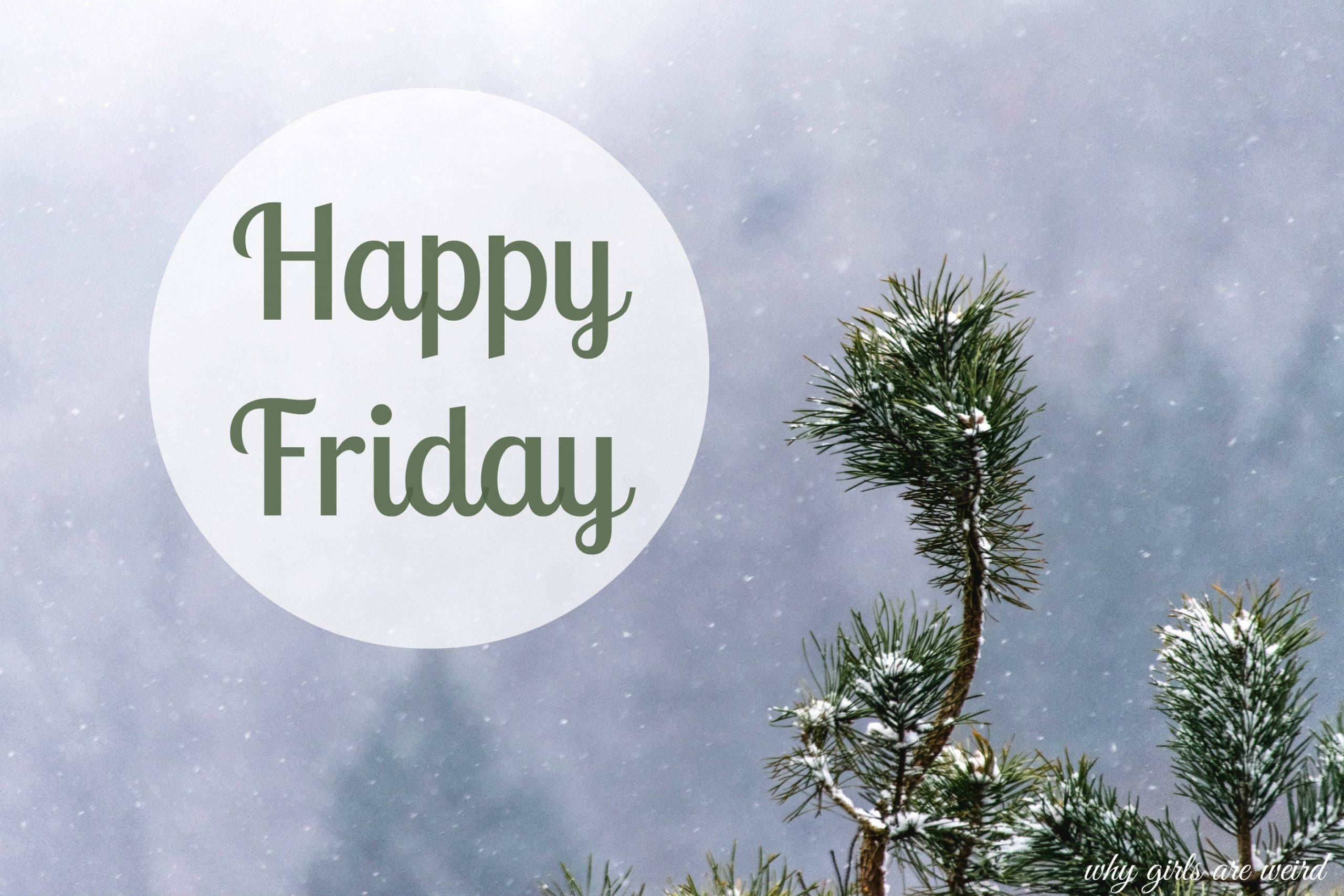Happy Friday, snowflakes, snow-dusted pine branches, 2K Desktop Wallpaper