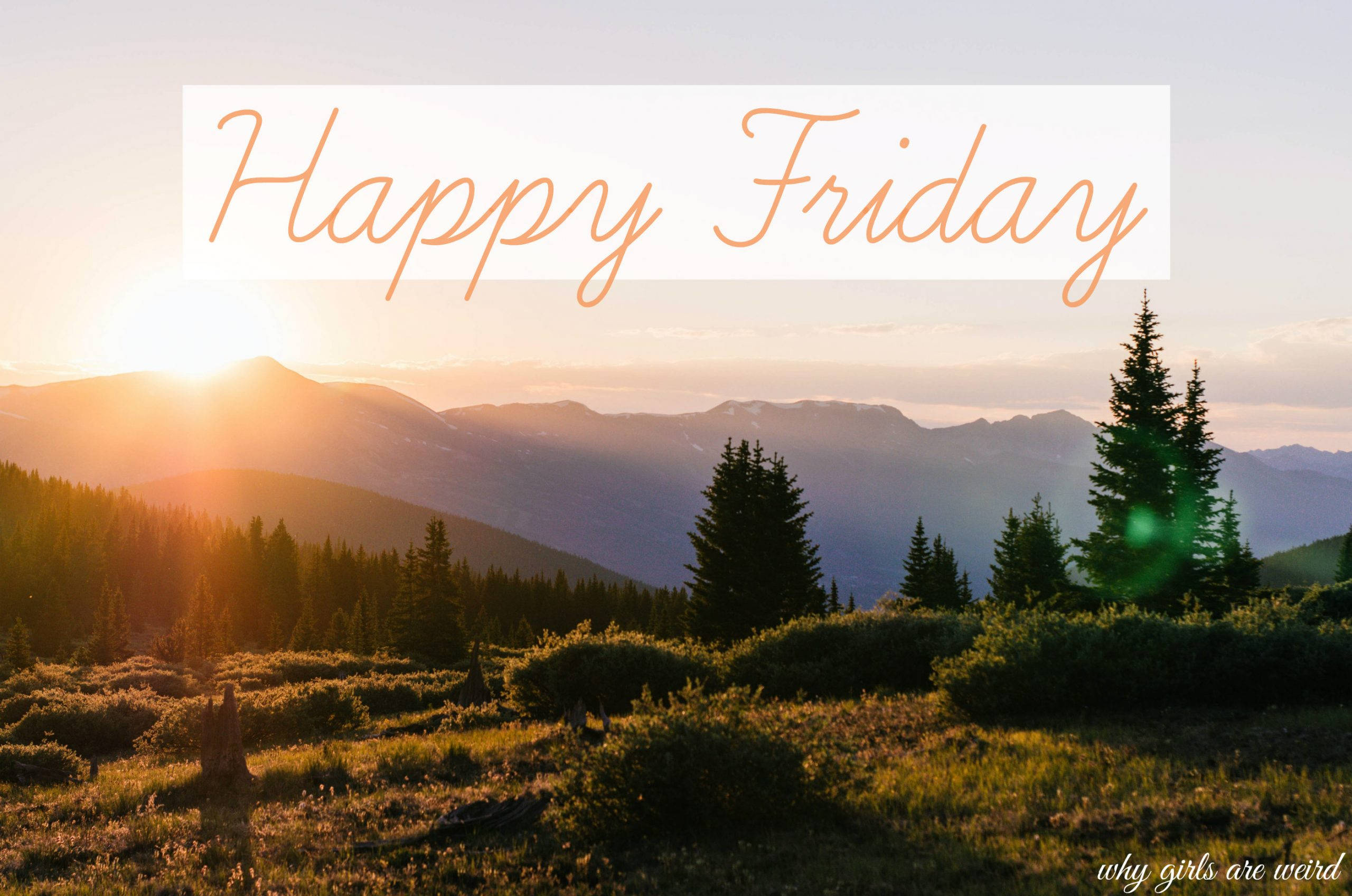 Sunset, mountain peaks, pine trees, 2K Desktop Wallpaper