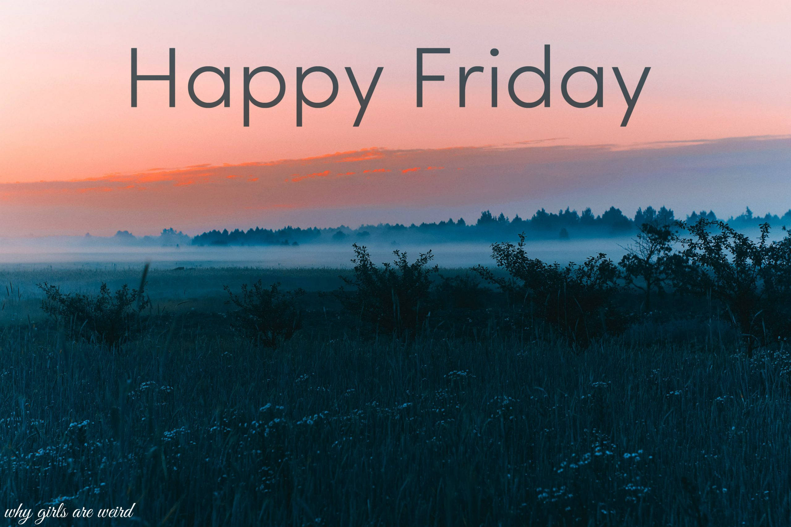 Happy Friday, misty field, dawn, 2K Desktop Wallpaper