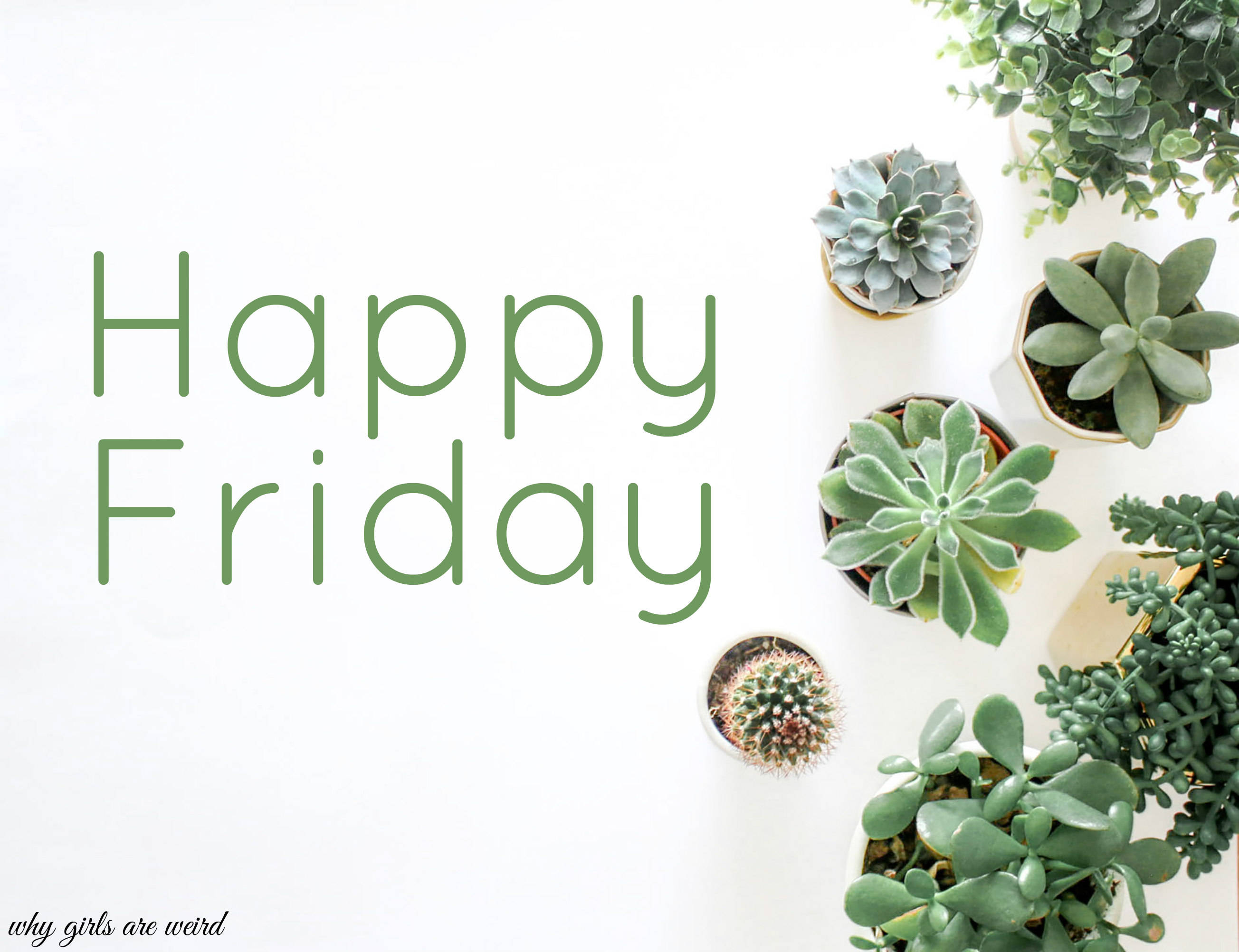 Happy Friday, cactus, succulents, 2K Desktop Wallpaper