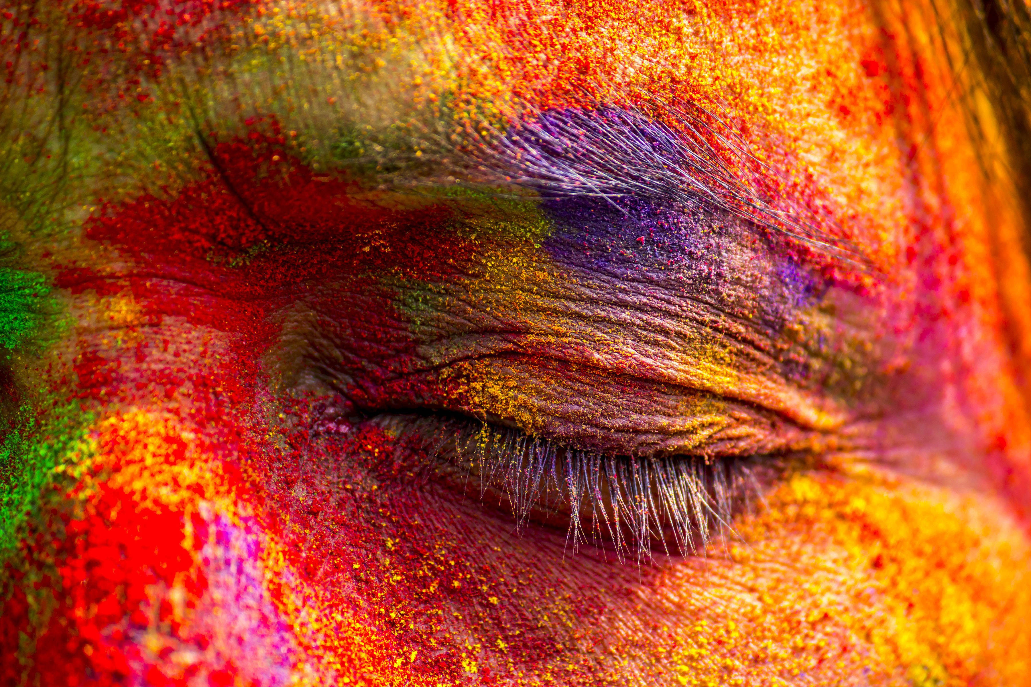Happy Holi HD, closed eye, vibrant colored powders, 2K Desktop Wallpaper